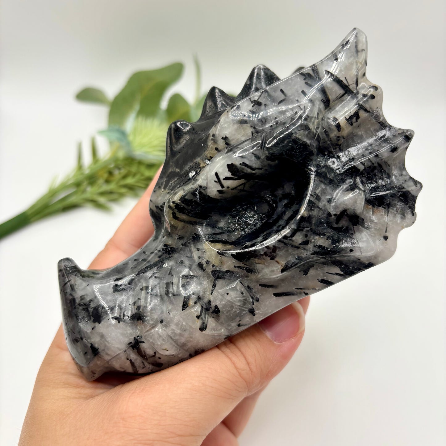 Black Tourmaline in Quartz Dragon Heads