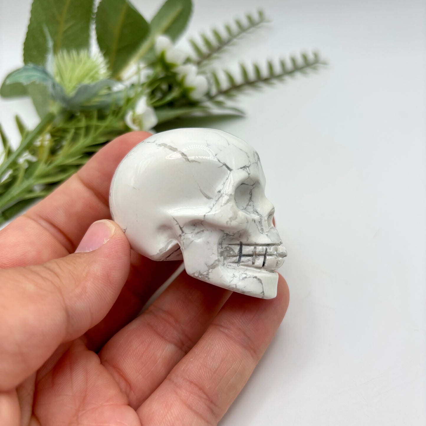 Howlite Skull