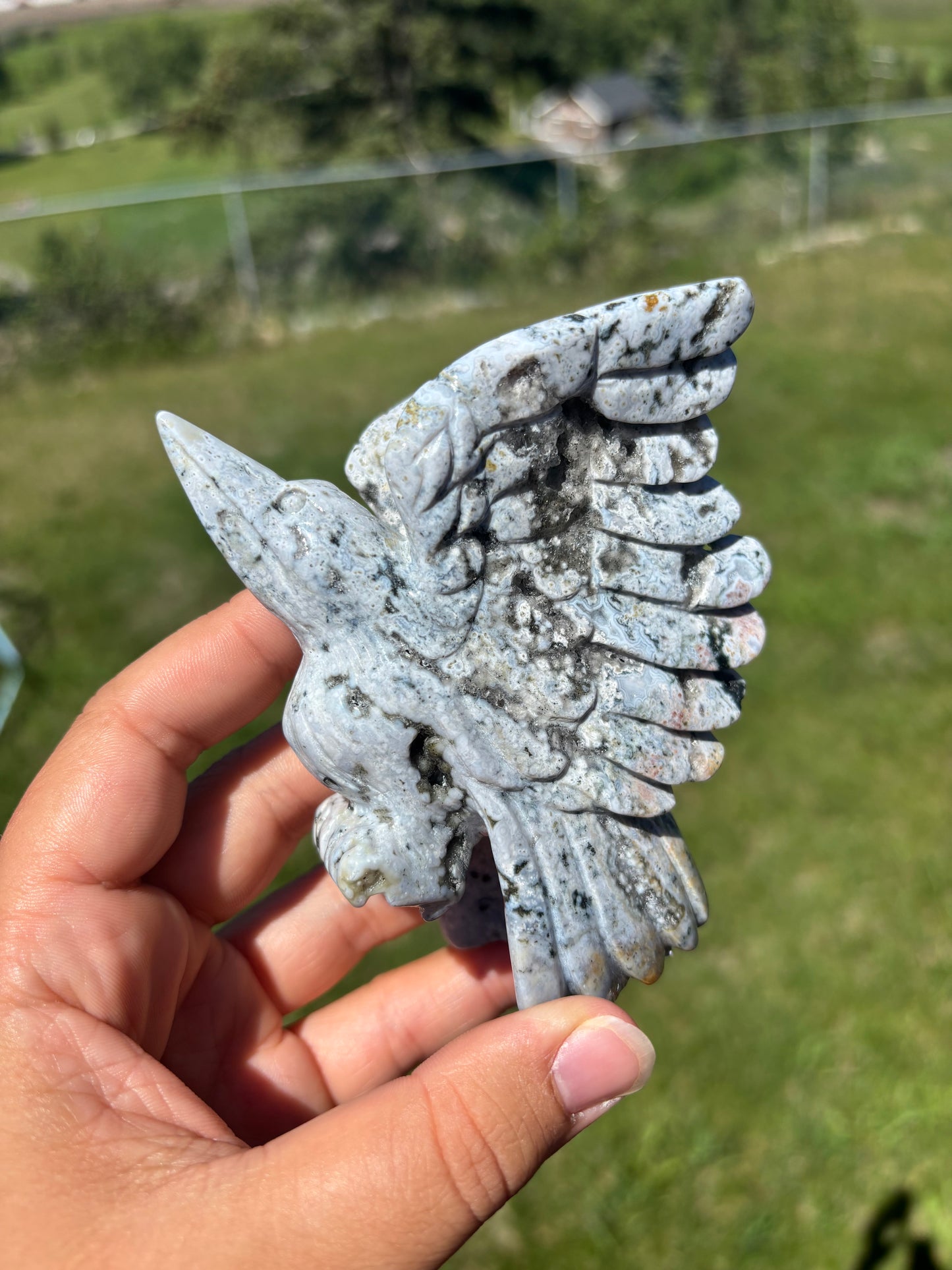 Orbicular Jasper Hummingbird