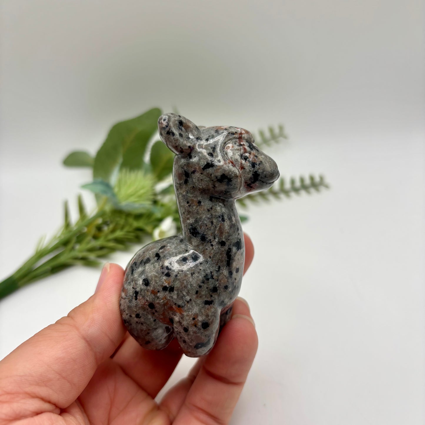 Yooperlite Alpaca