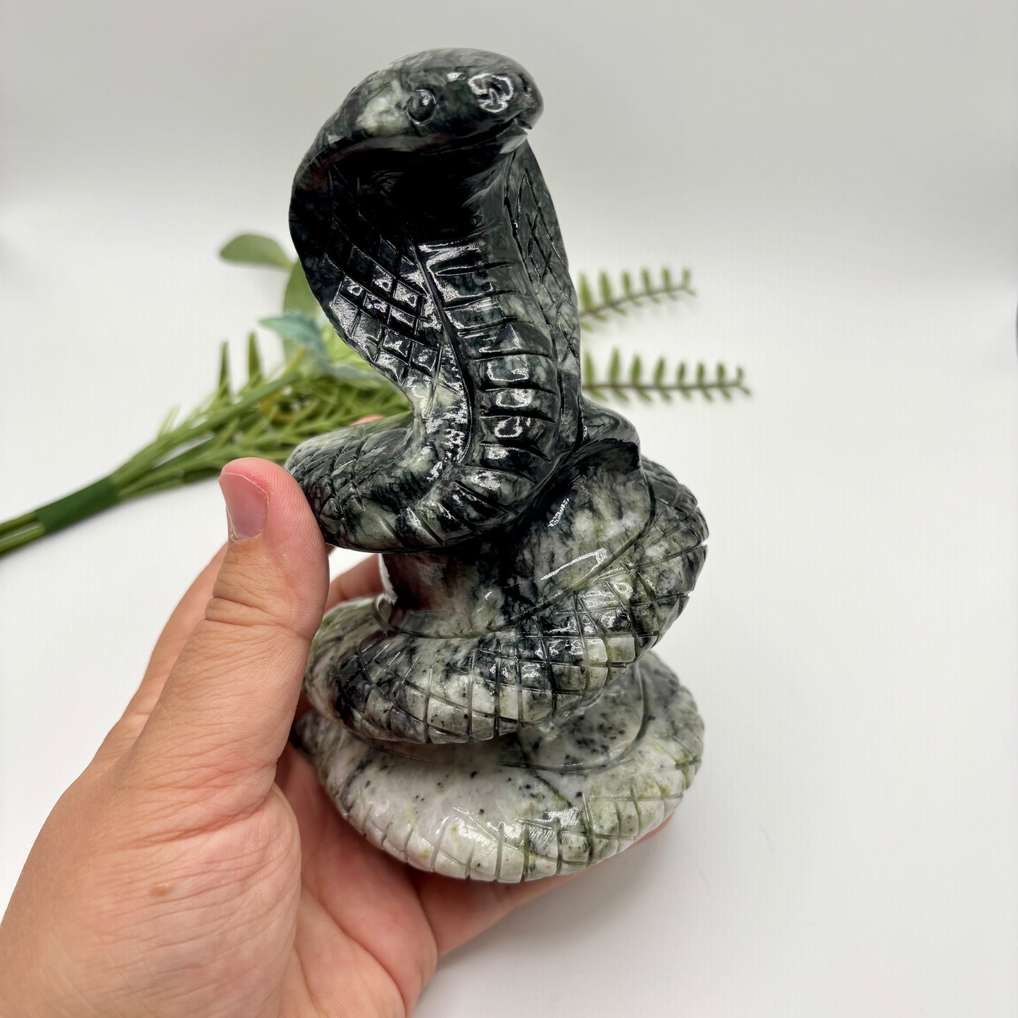 Two Toned Jade Cobra