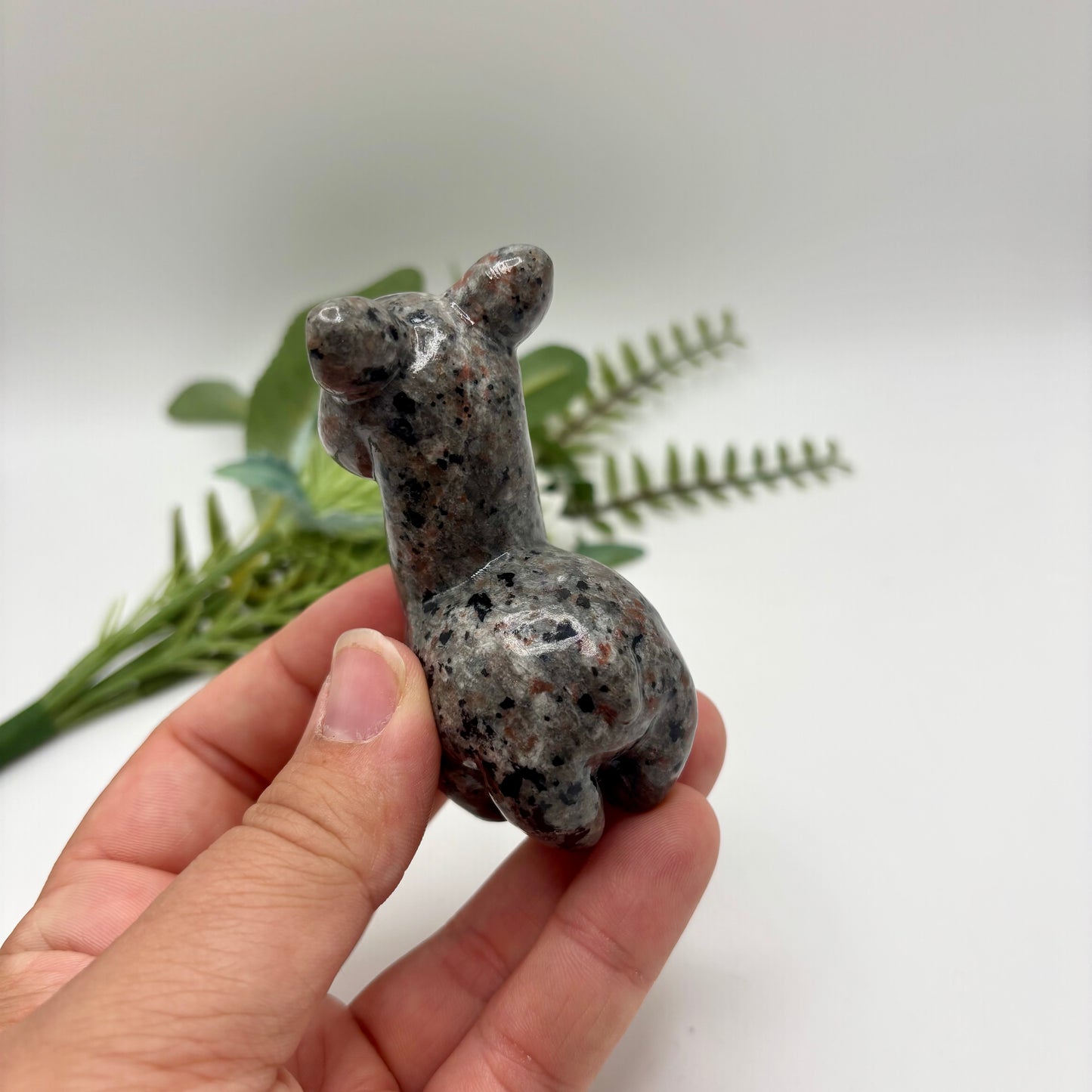 Yooperlite Alpaca