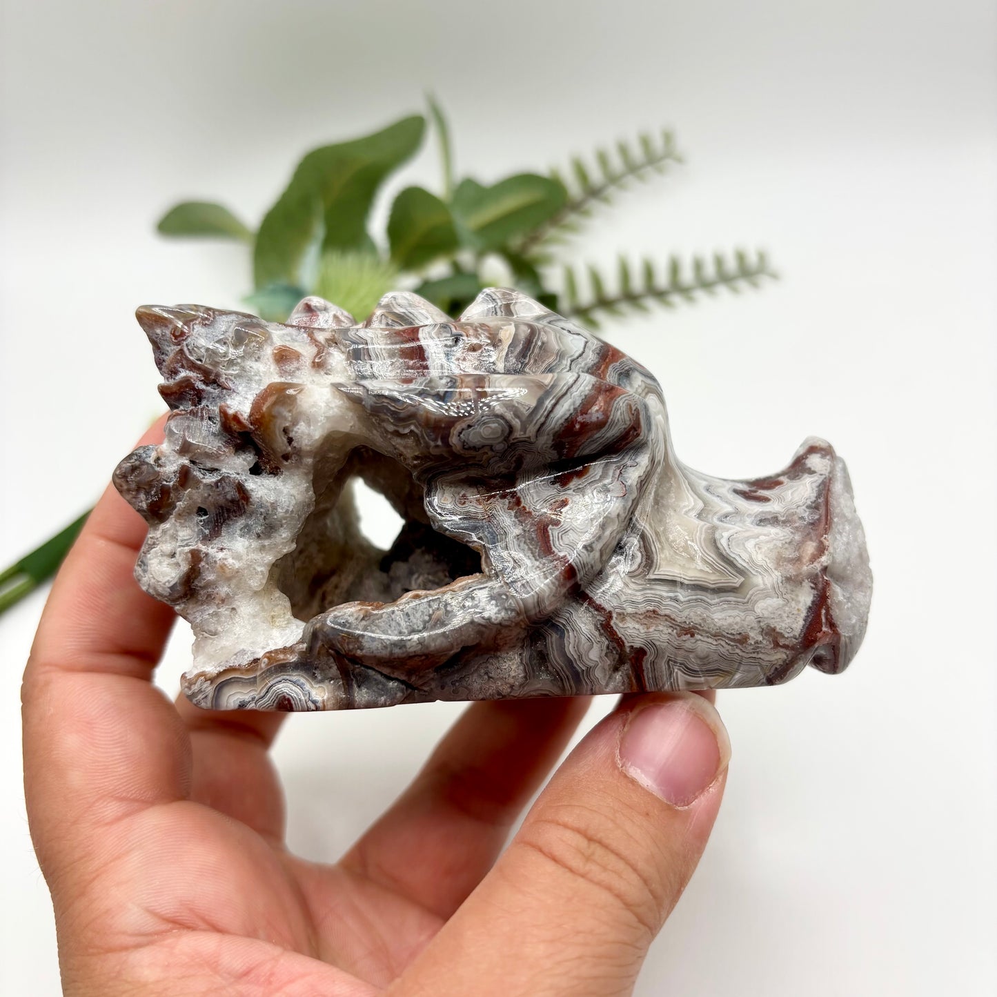Mexican Crazy Lace Agate Dragon Heads