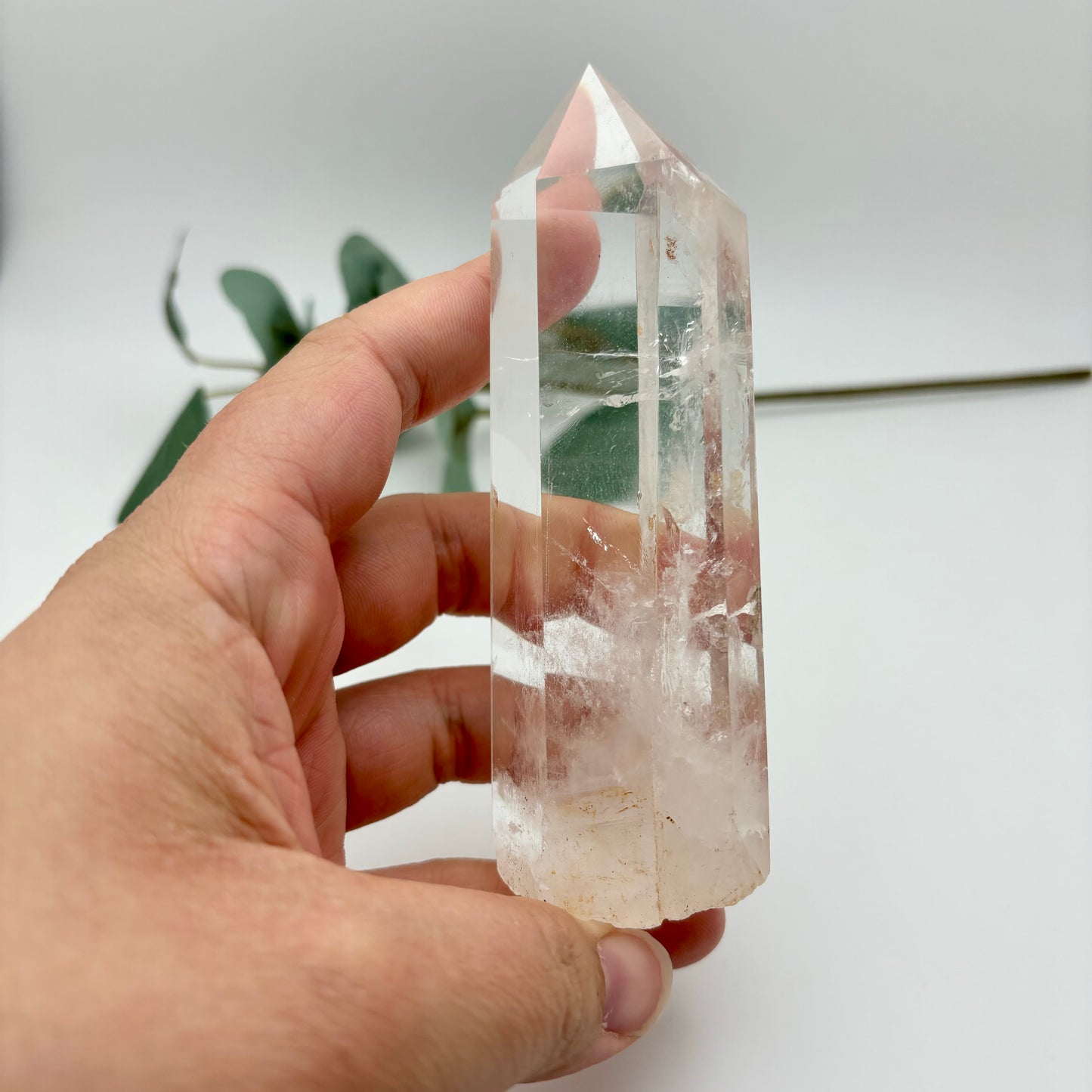 HQ Clear Quartz Points in Custom Stands