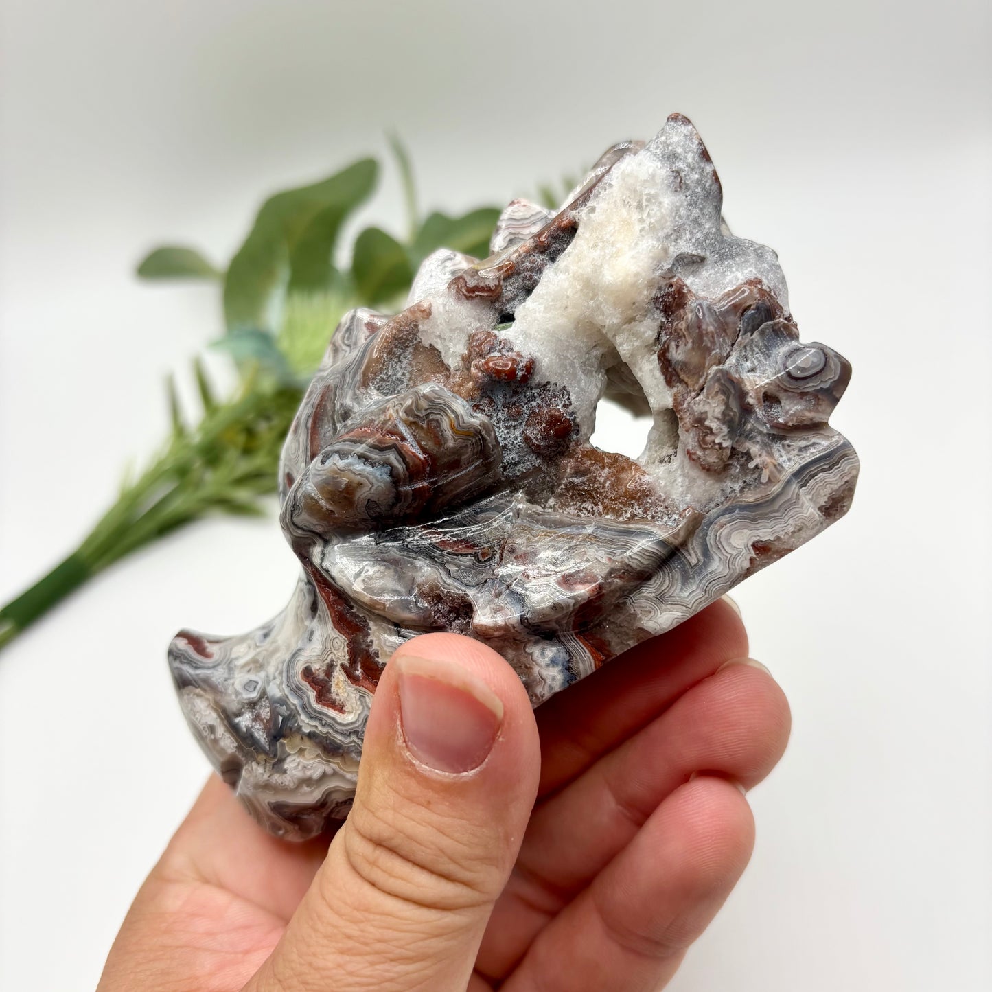 Mexican Crazy Lace Agate Dragon Heads