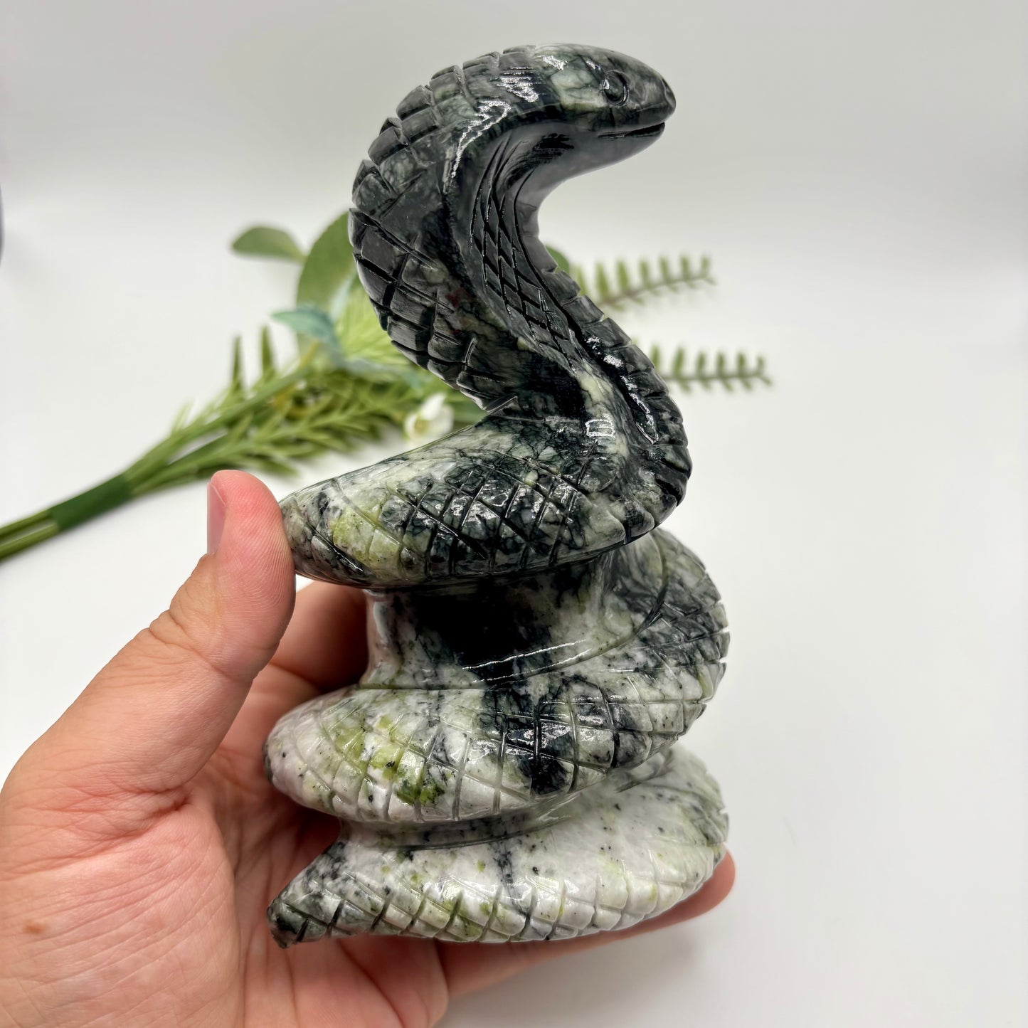 Two Toned Jade Cobra