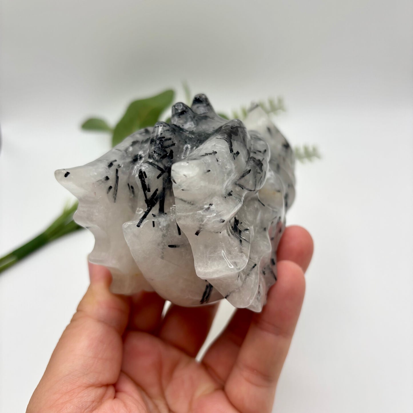 Black Tourmaline in Quartz Dragon Heads