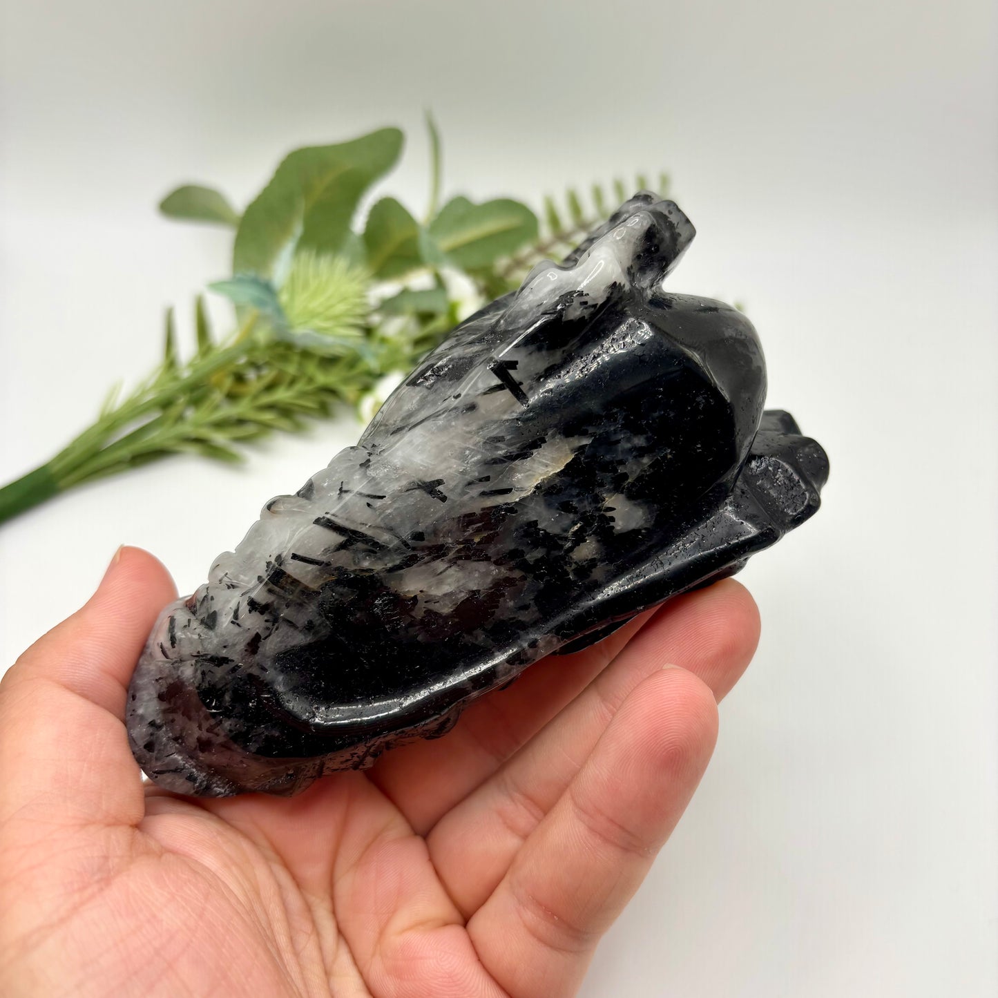 Black Tourmaline in Quartz Dragon Heads