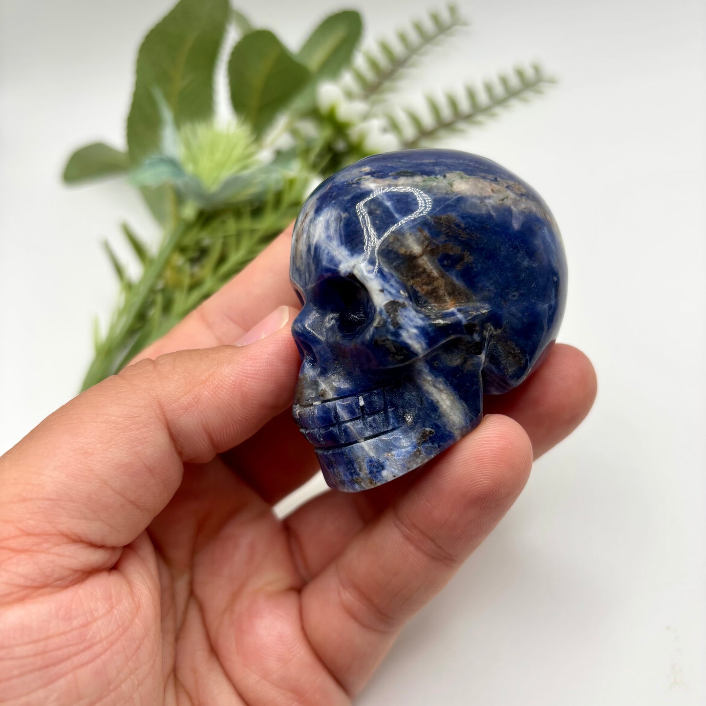 Sodalite Skulls