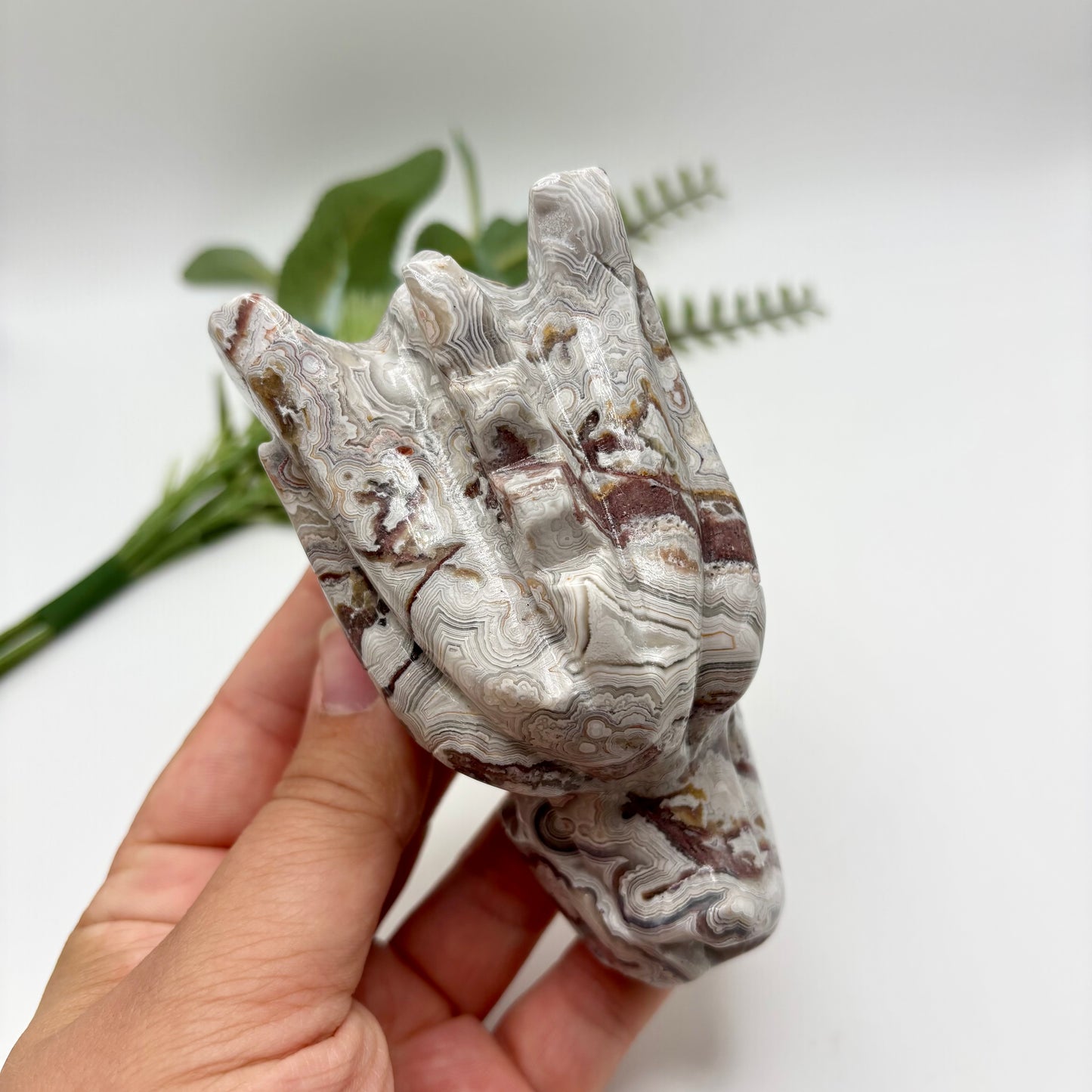 Mexican Crazy Lace Agate Dragon Heads
