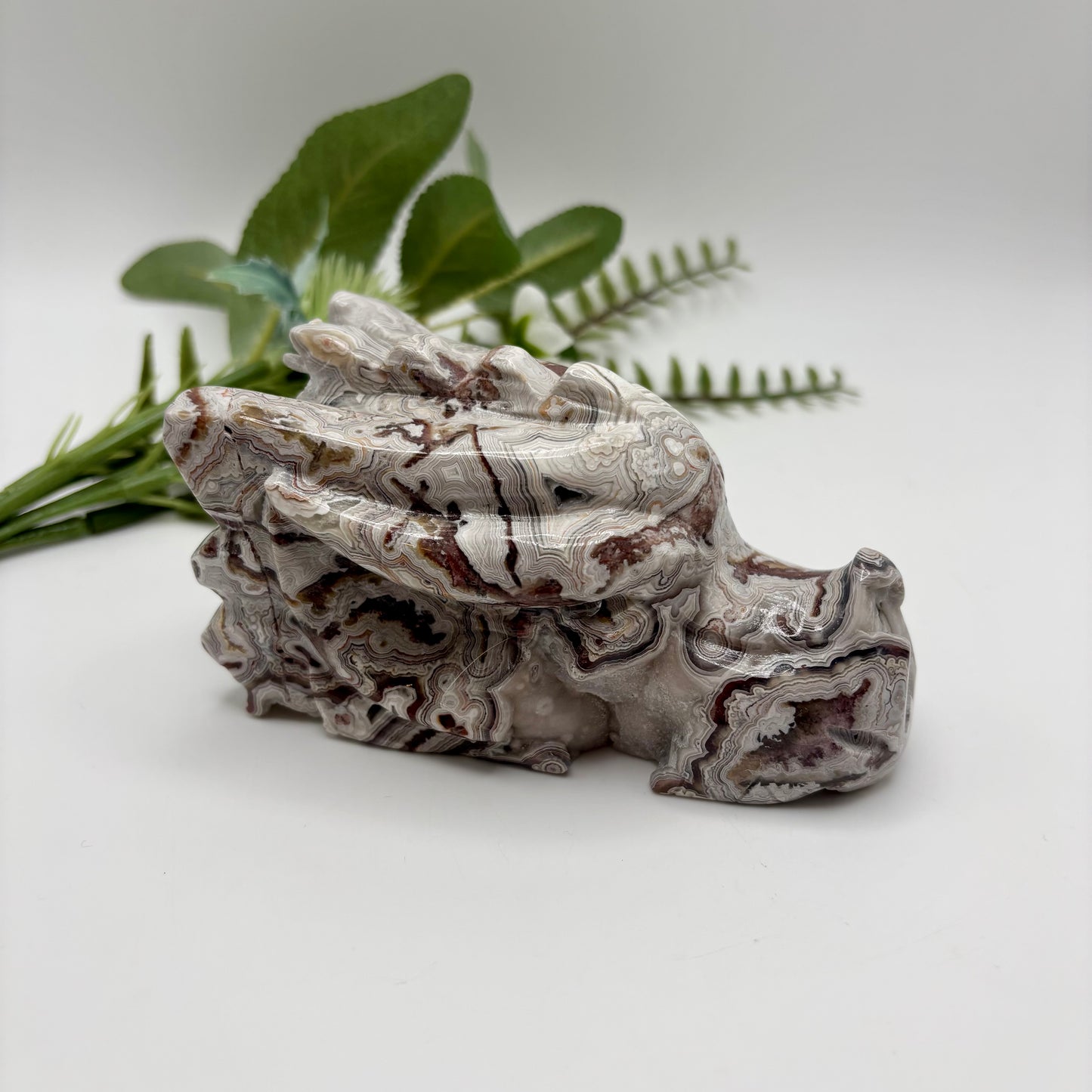 Mexican Crazy Lace Agate Dragon Heads