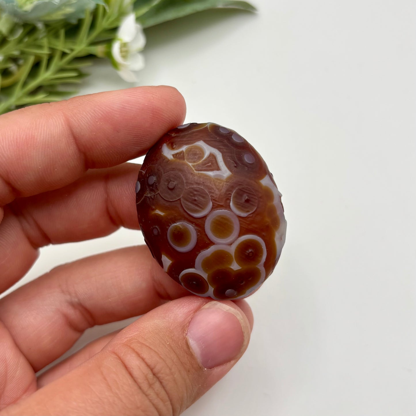 Gobi Agates (Large)