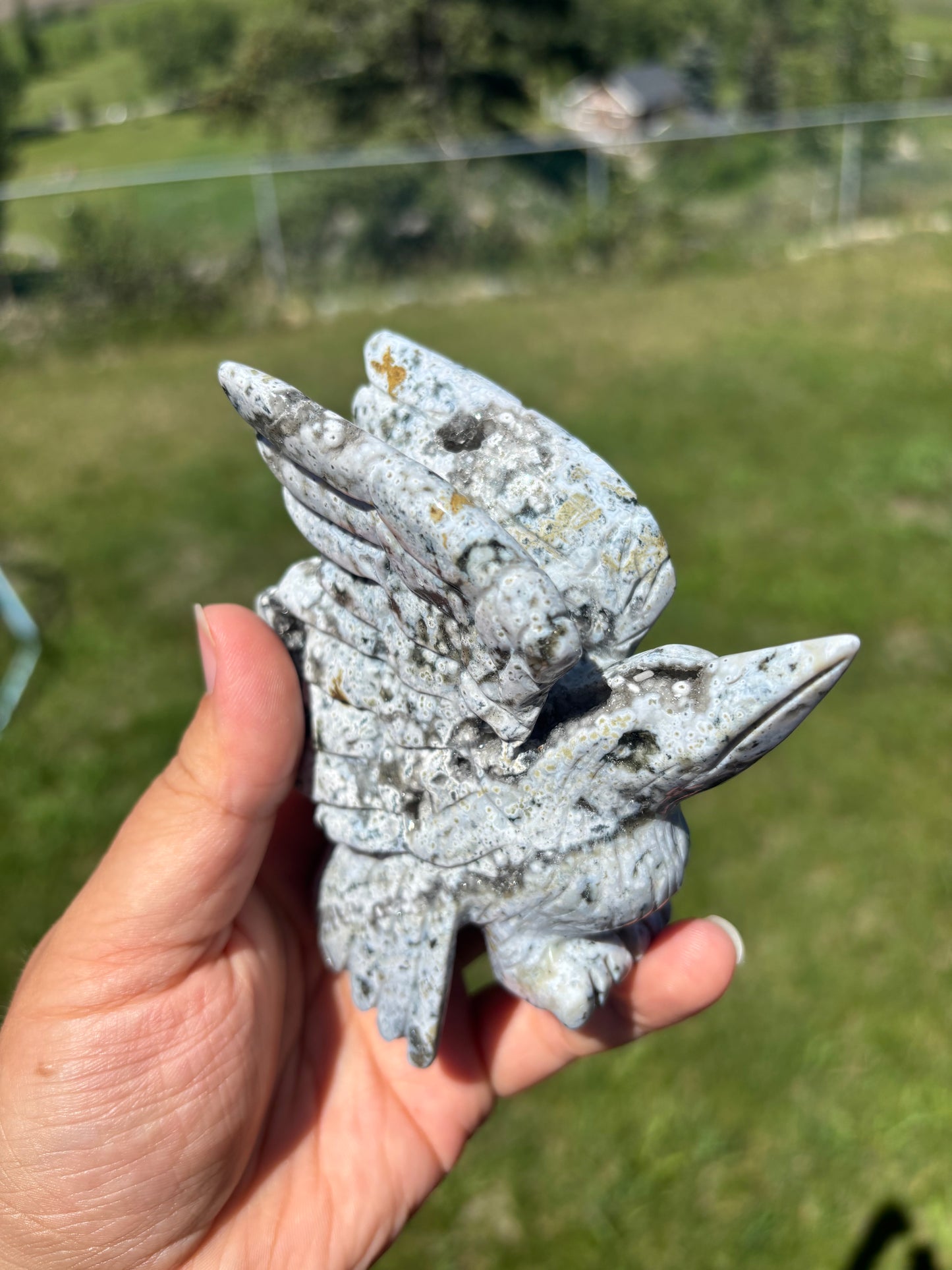 Orbicular Jasper Hummingbird