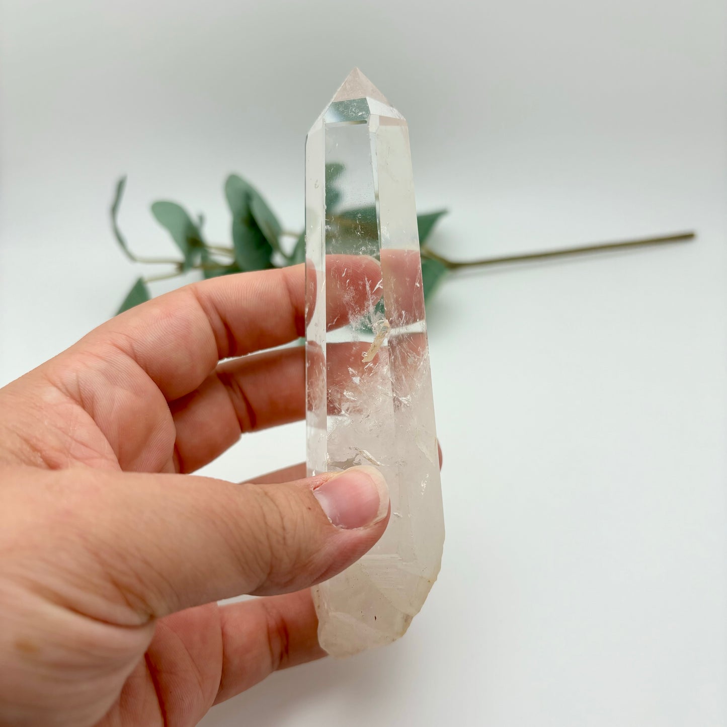 HQ Clear Quartz Points in Custom Stands