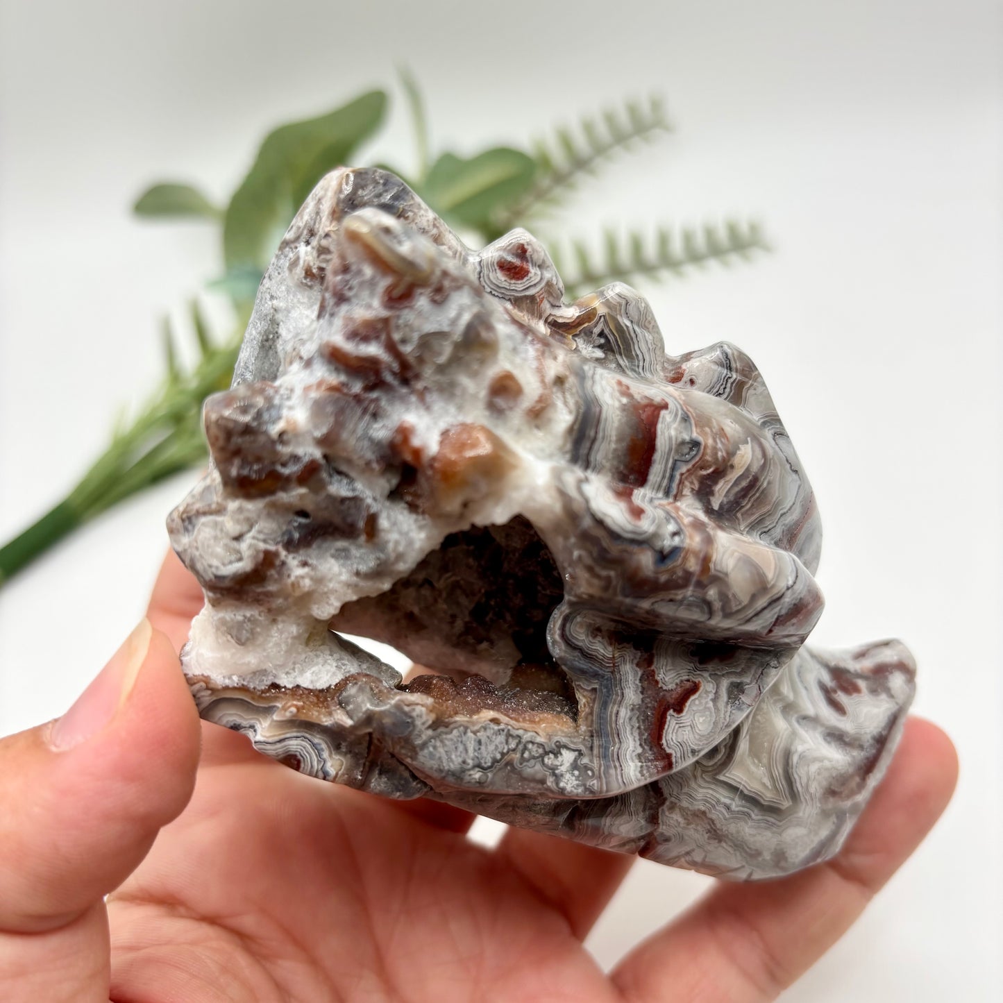 Mexican Crazy Lace Agate Dragon Heads