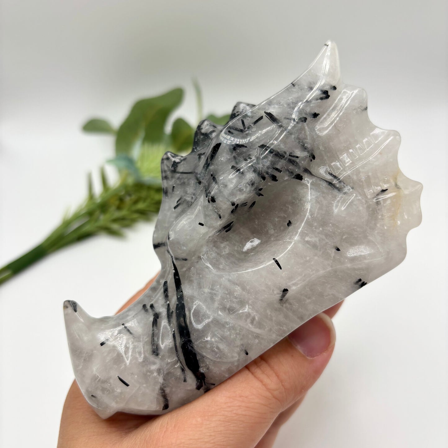 Black Tourmaline in Quartz Dragon Heads