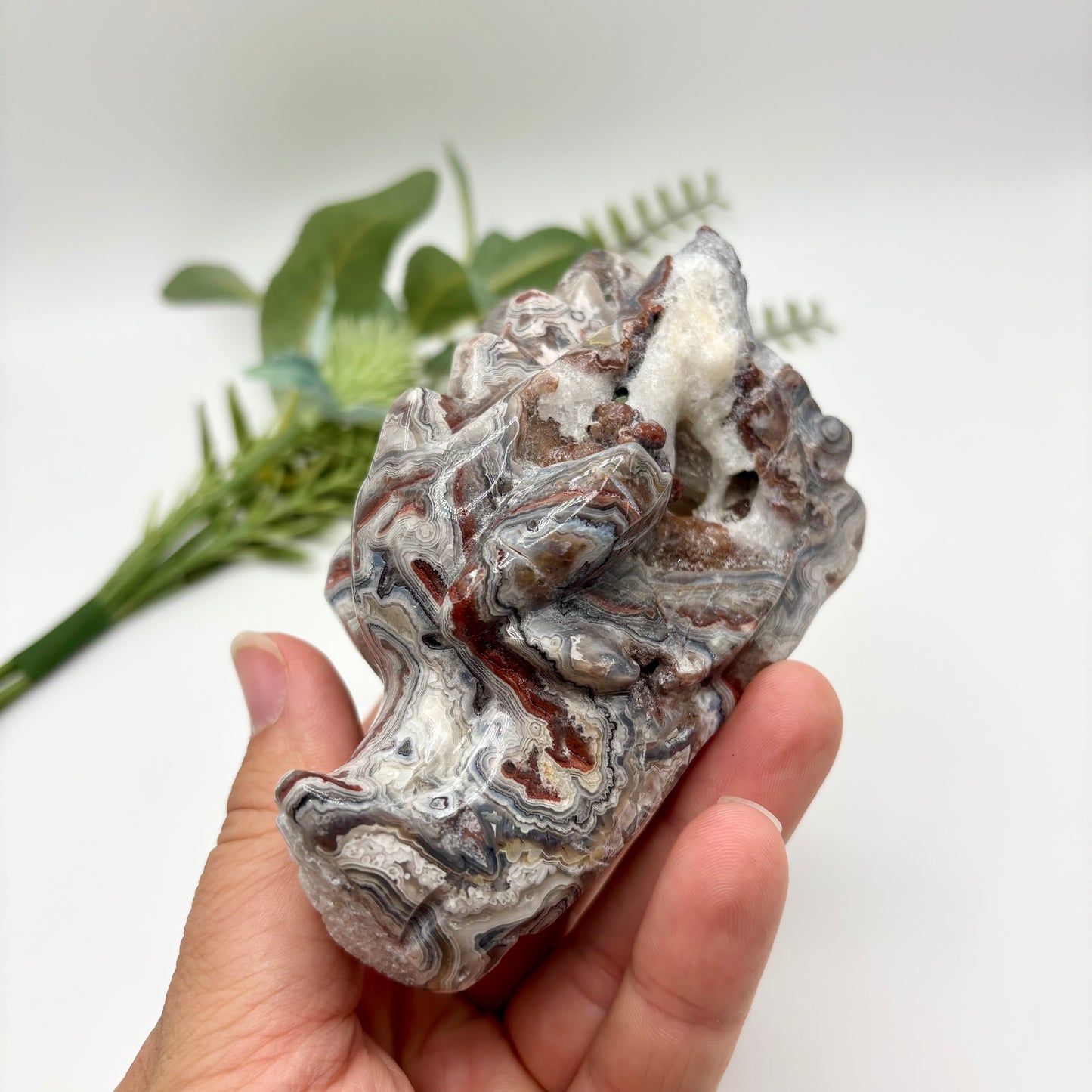 Mexican Crazy Lace Agate Dragon Heads