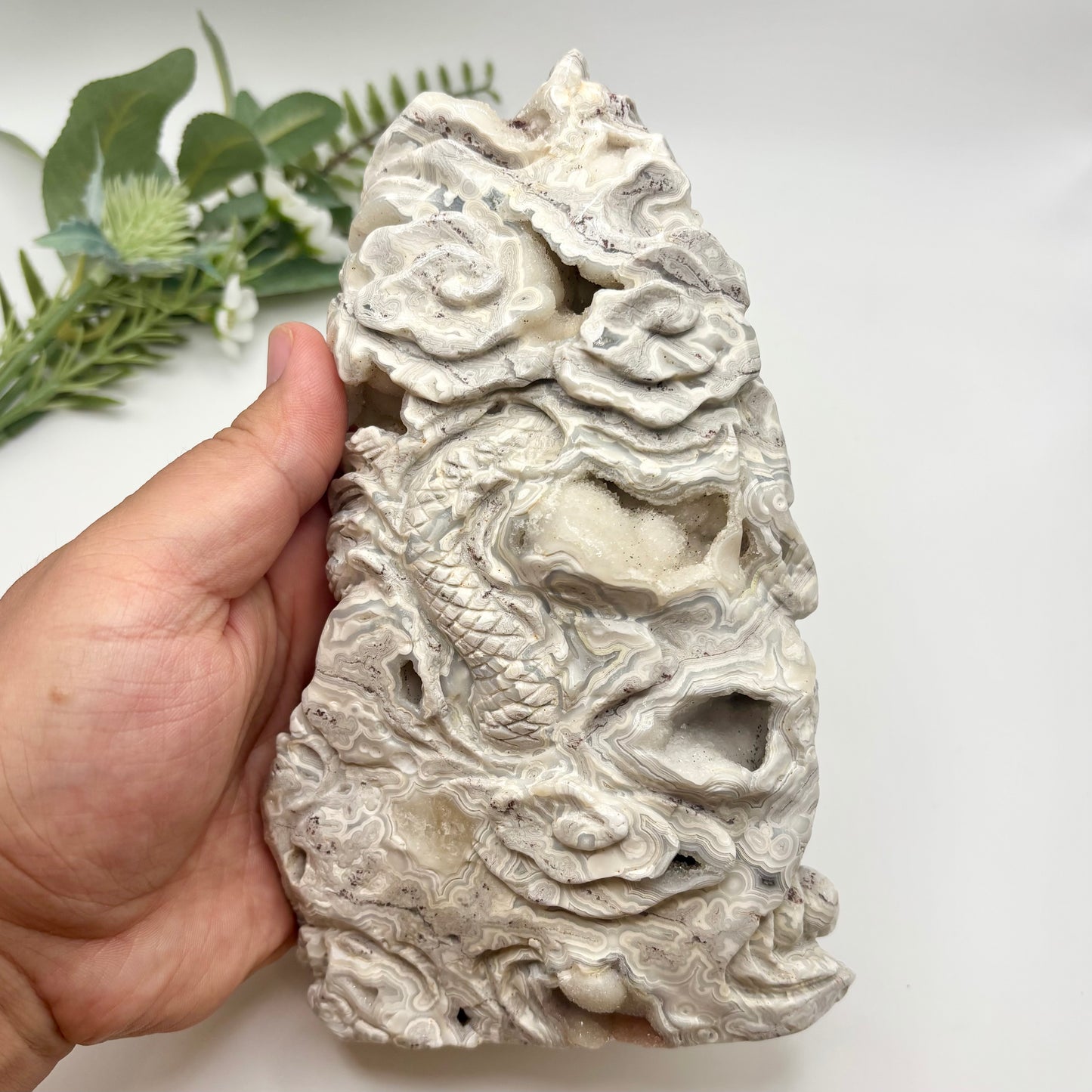 Mexican Crazy Lace Agate Dragon