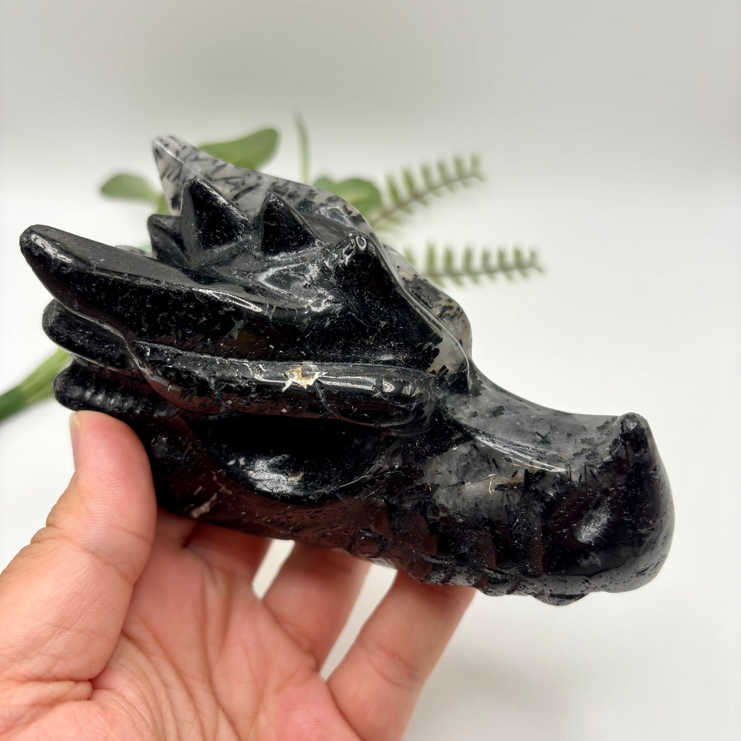 Black Tourmaline in Quartz Dragon Heads