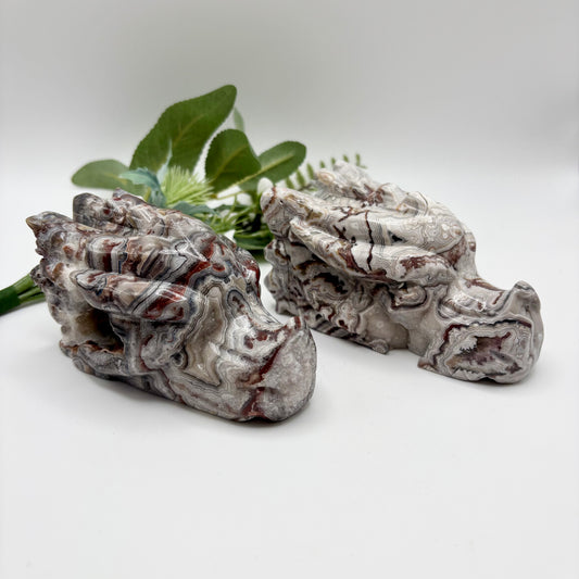 Mexican Crazy Lace Agate Dragon Heads