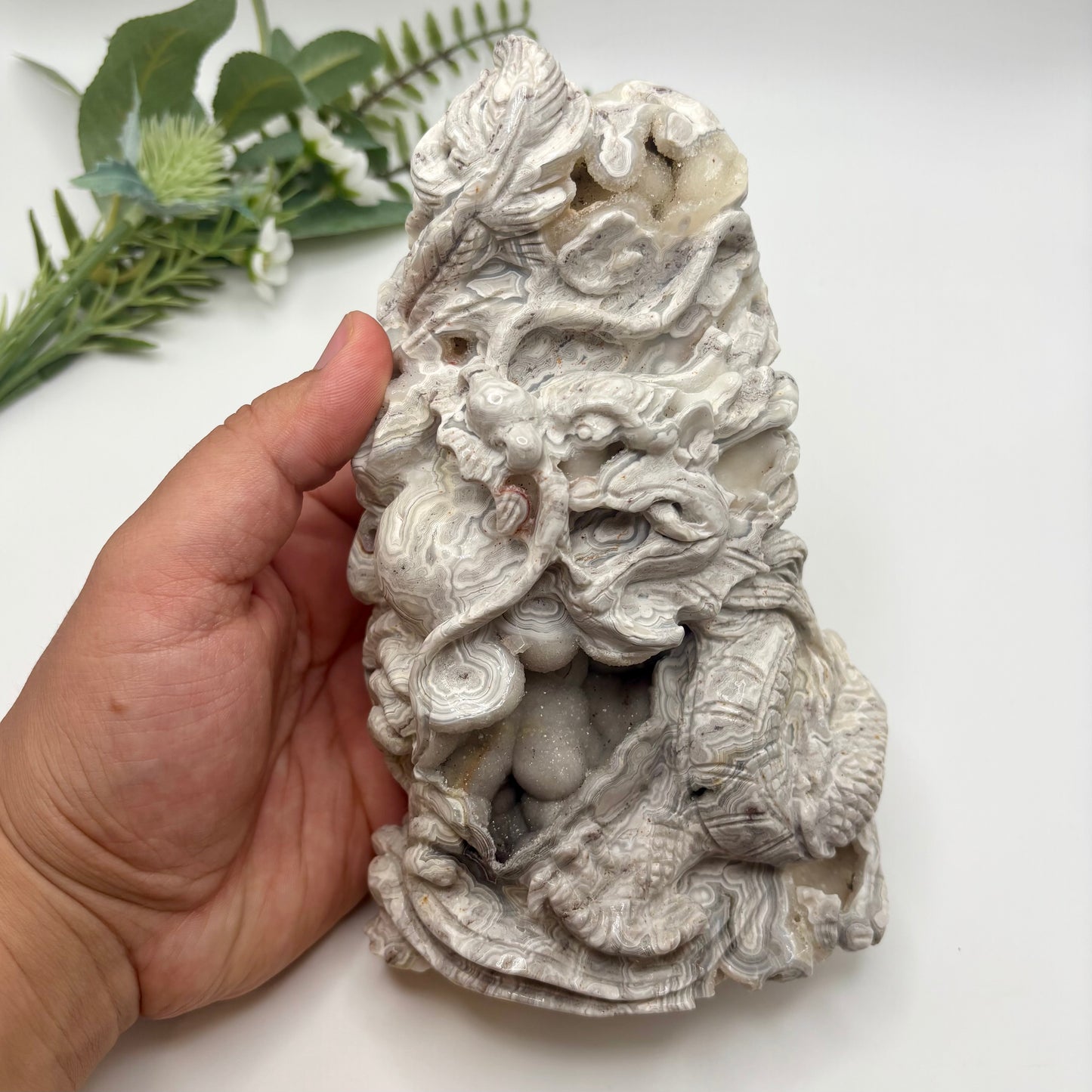 Mexican Crazy Lace Agate Dragon
