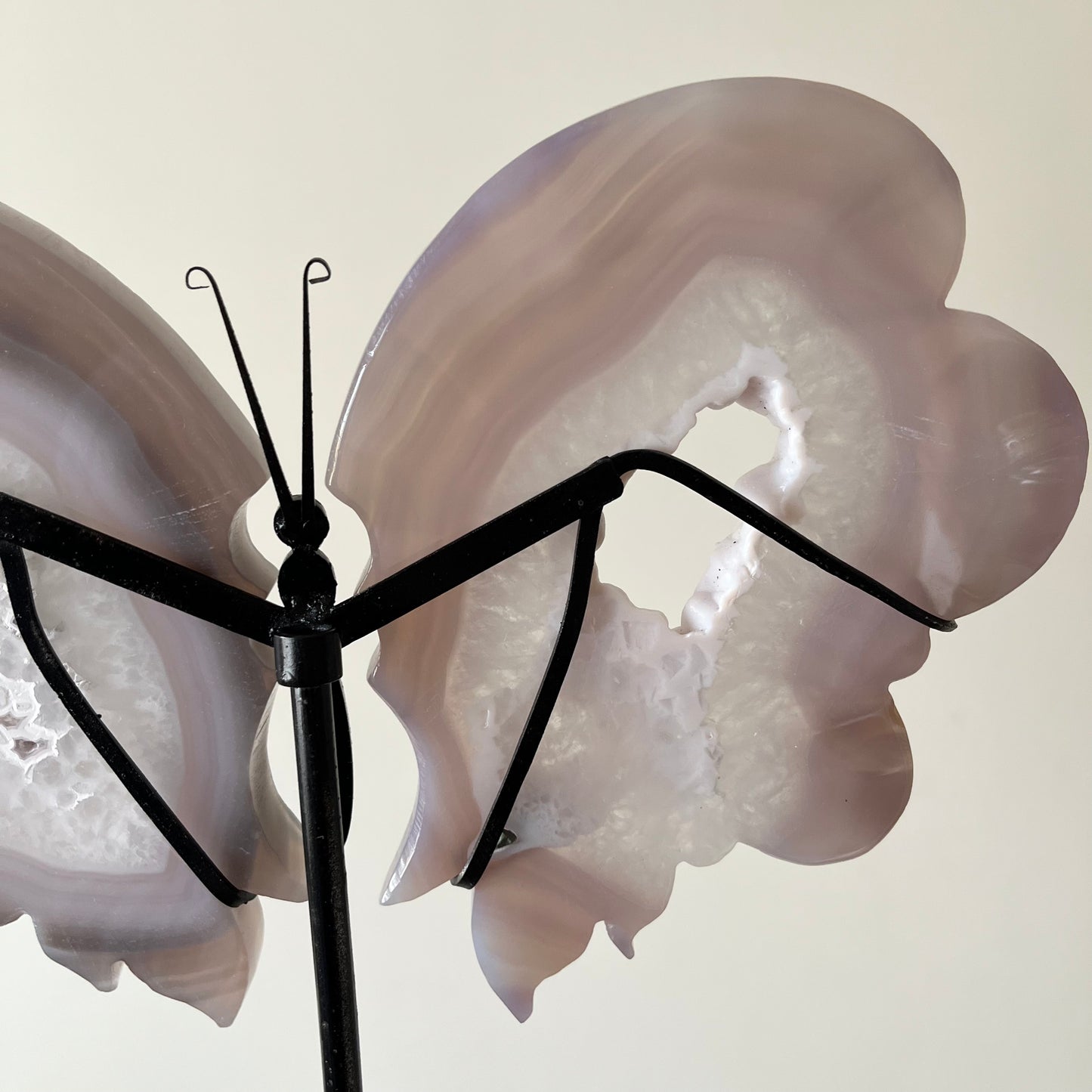 XL Pink Amethyst in Agate Wings
