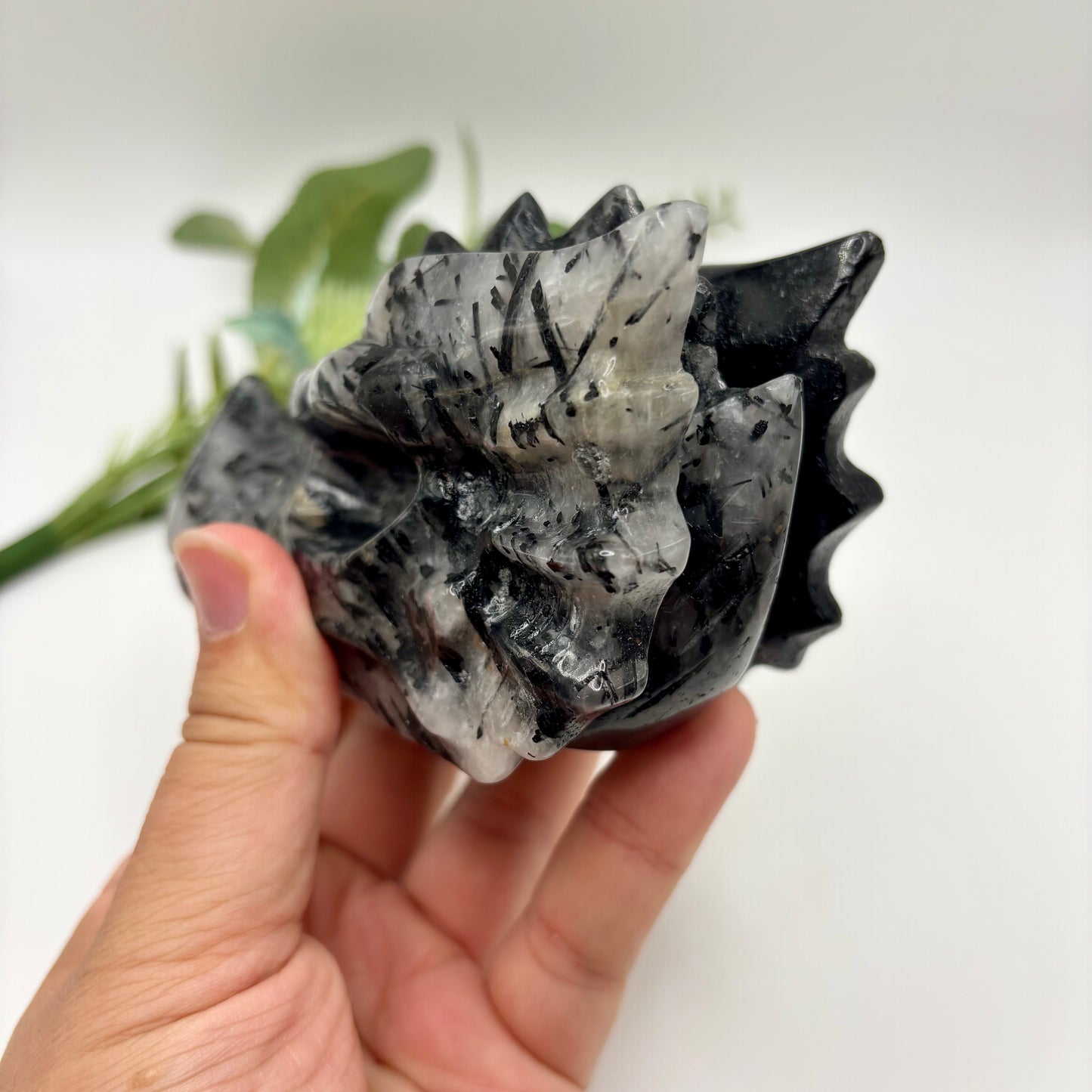 Black Tourmaline in Quartz Dragon Heads