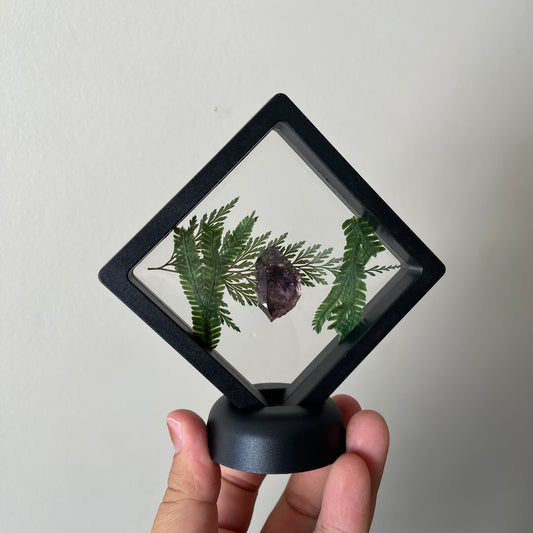 Amethyst Sceptre Top in Display Case