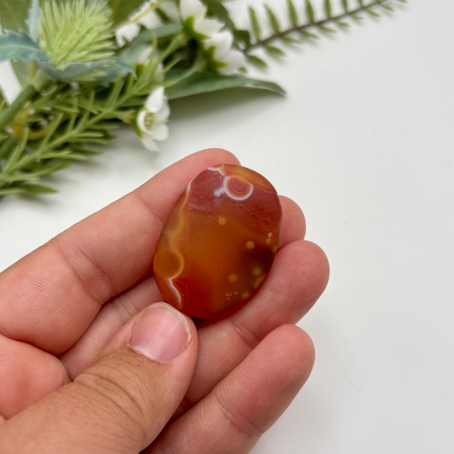 Gobi Agates (Small)
