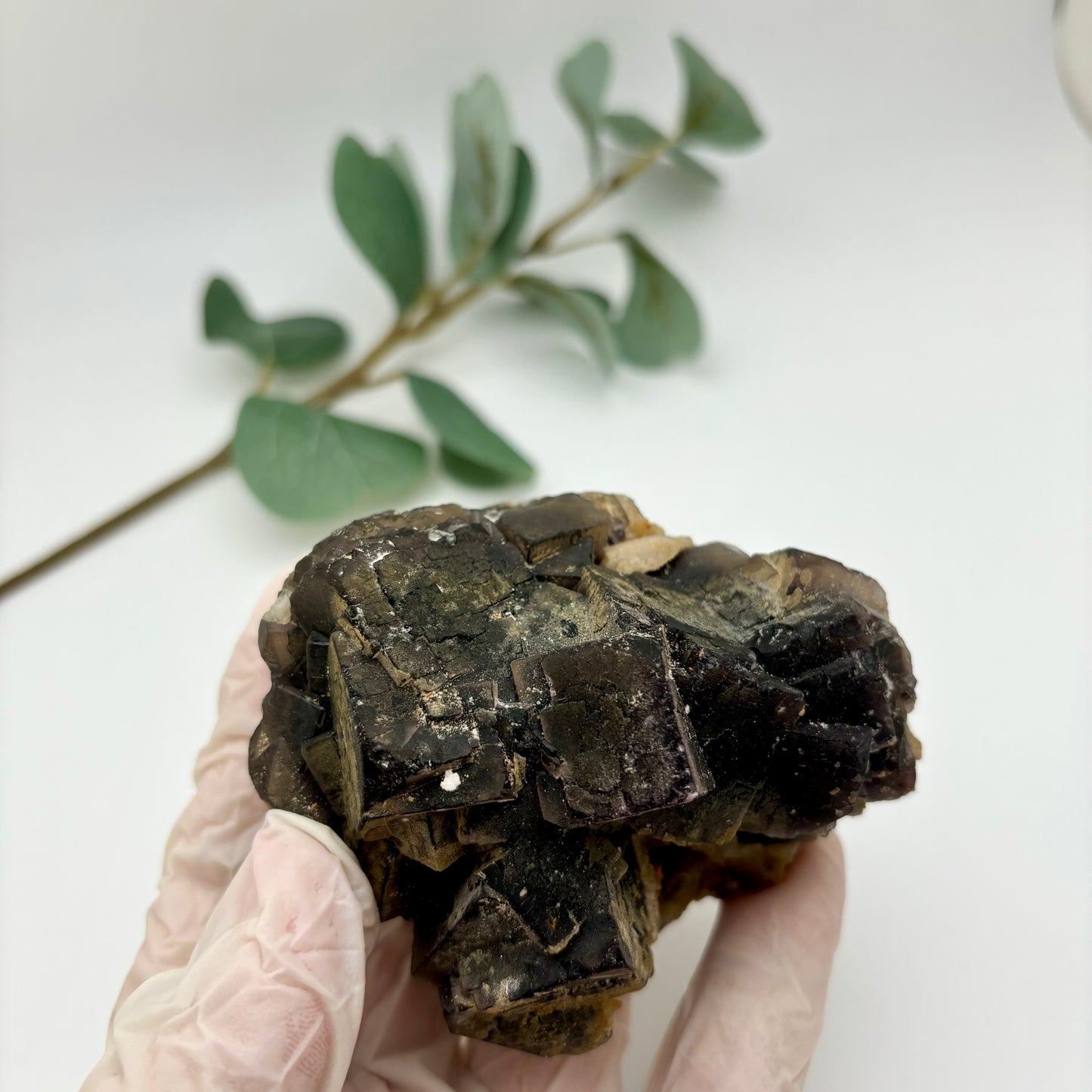 Black Fluorite Specimen