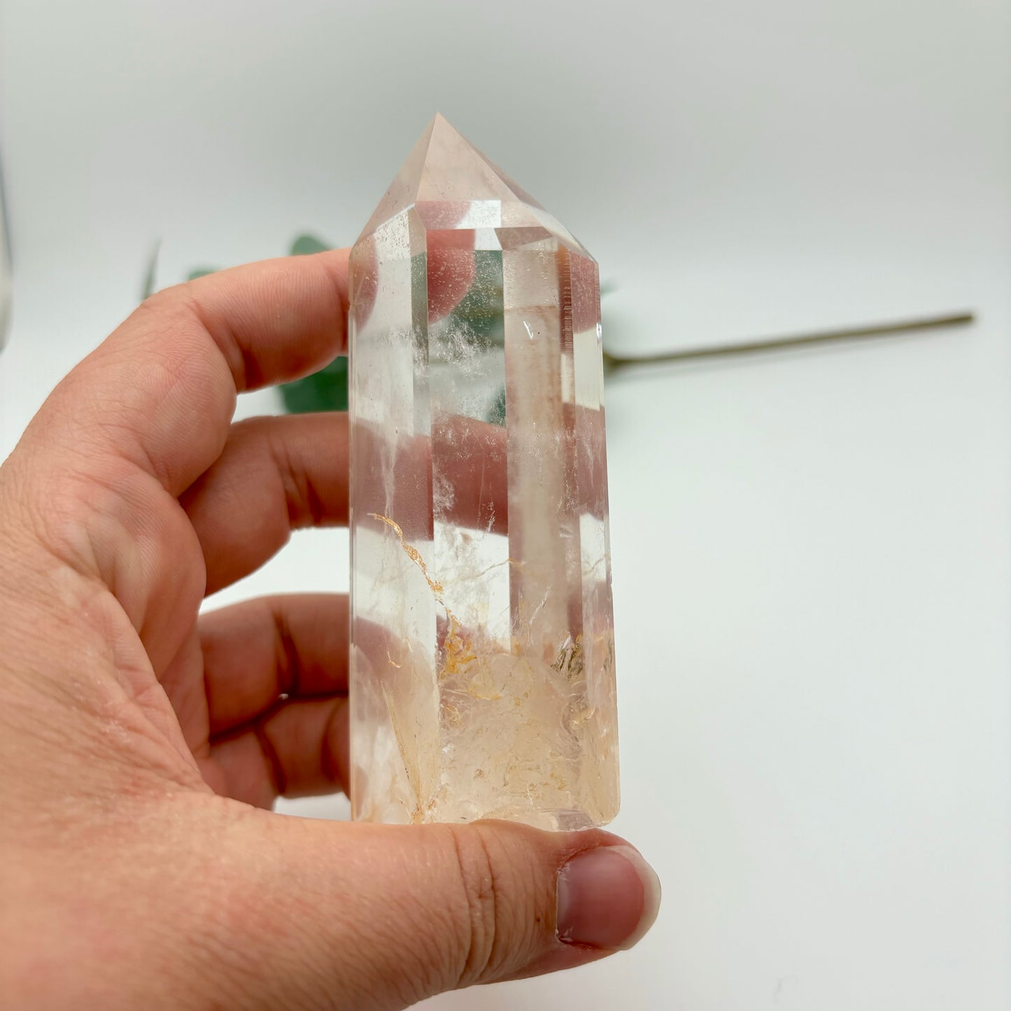 HQ Clear Quartz Points in Custom Stands