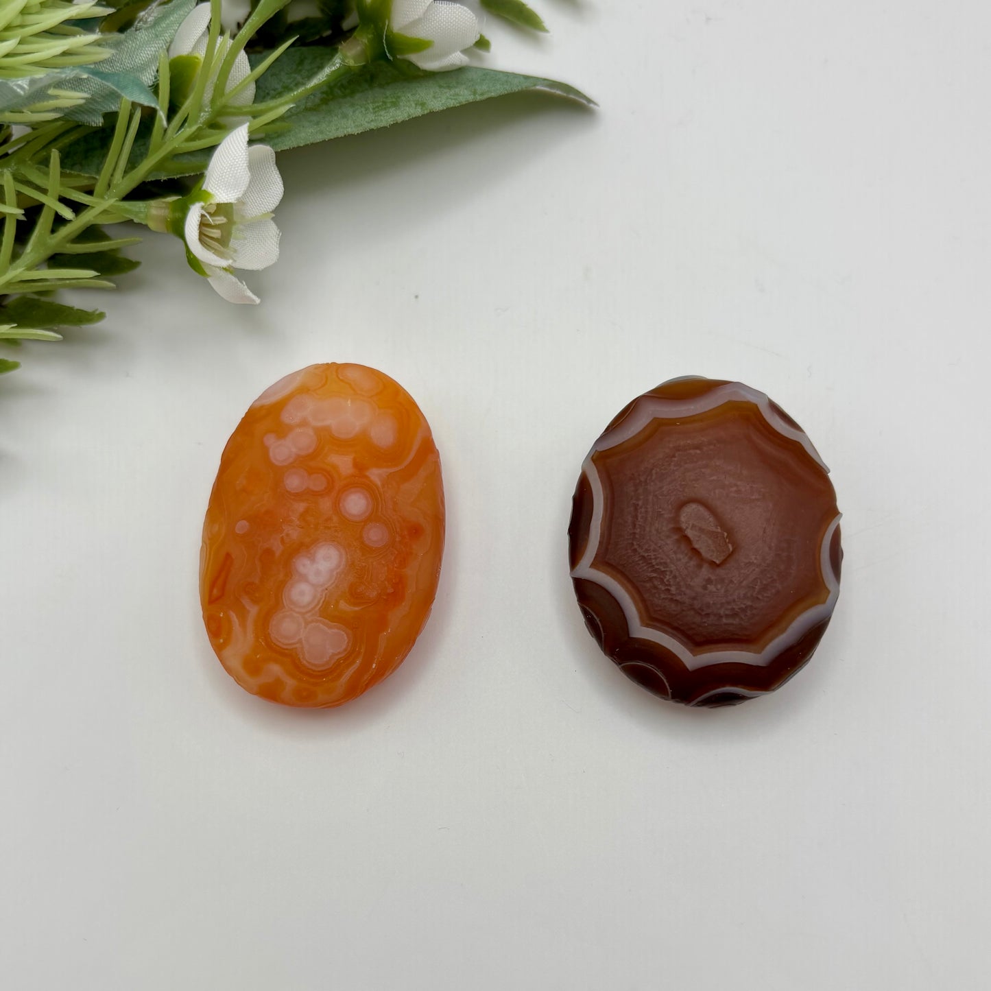 Gobi Agates (Large)