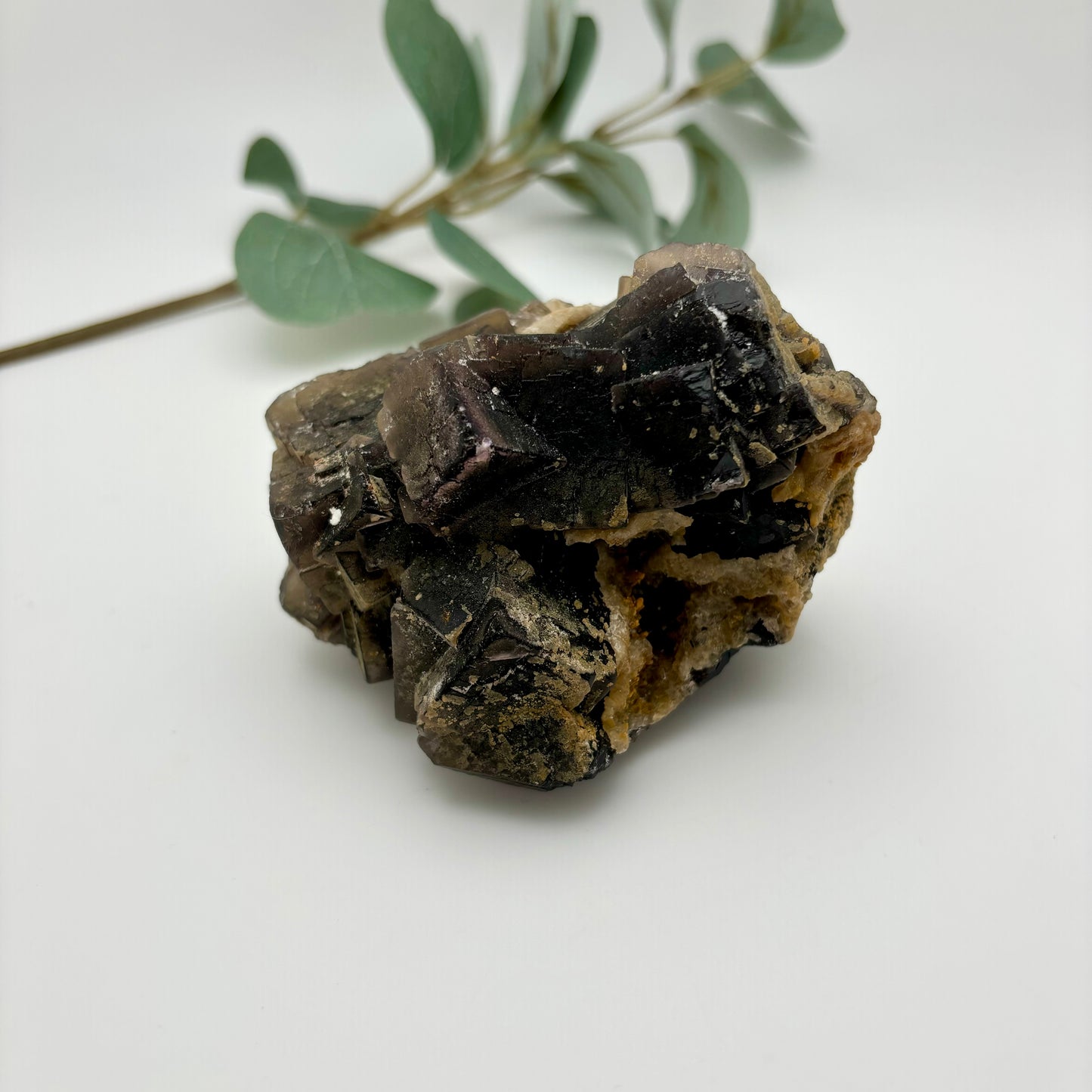 Black Fluorite Specimen