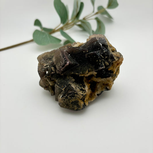 Black Fluorite Specimen