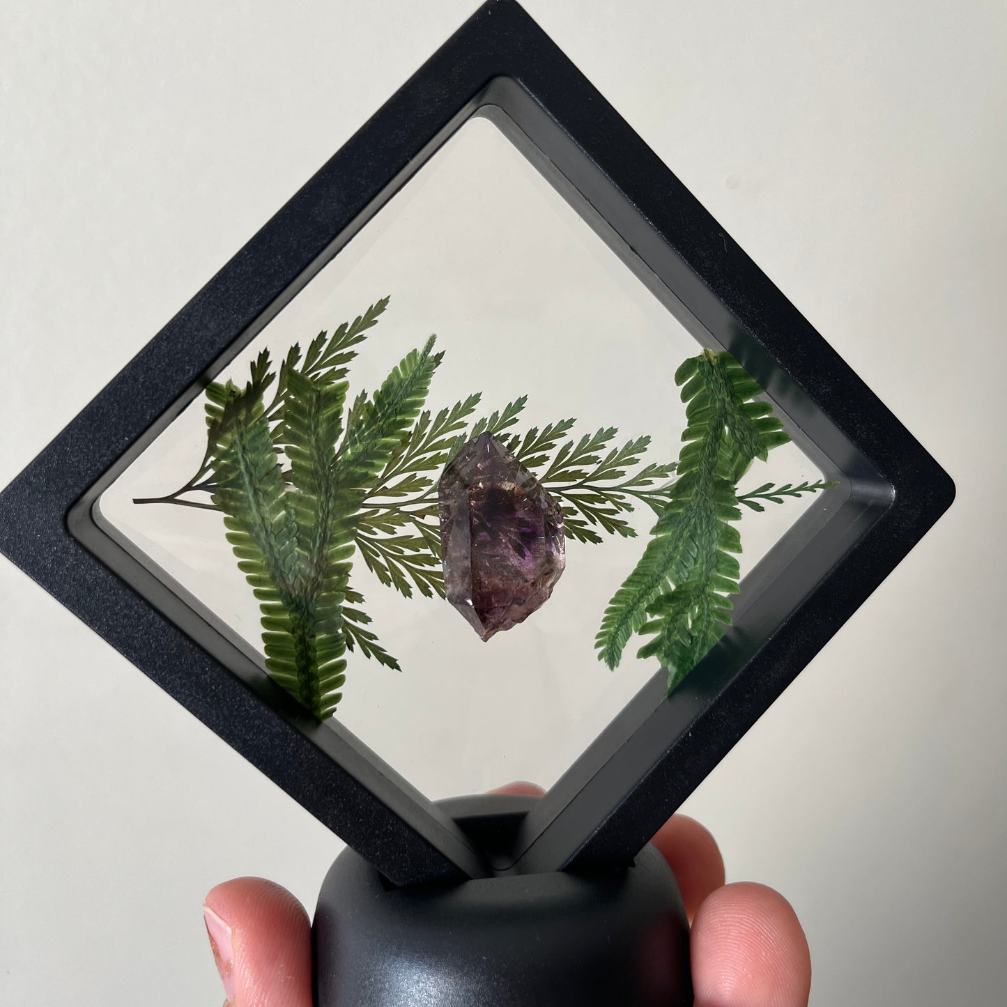 Amethyst Sceptre Top in Display Case
