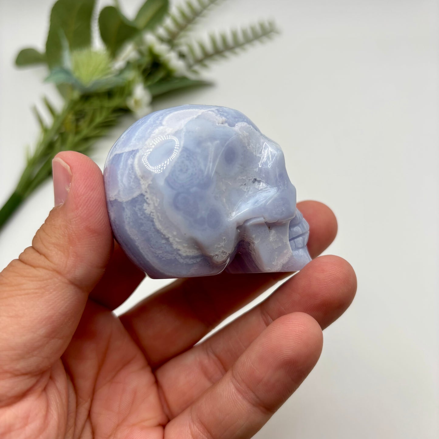 HQ Blue Lace Agate Skull