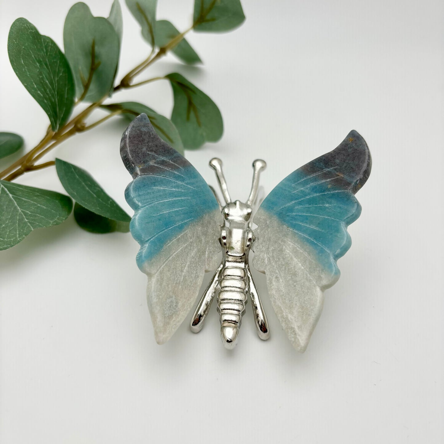 Trolleite Butterfly