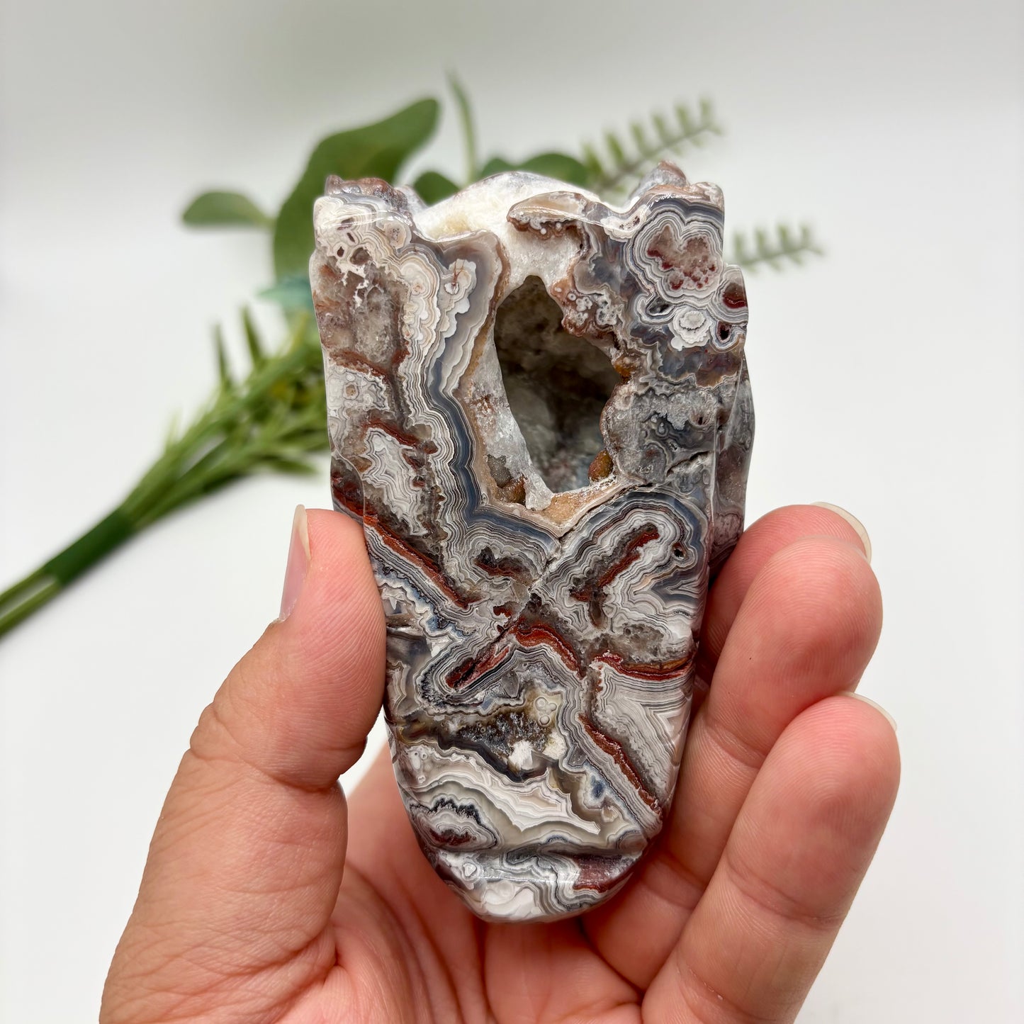 Mexican Crazy Lace Agate Dragon Heads
