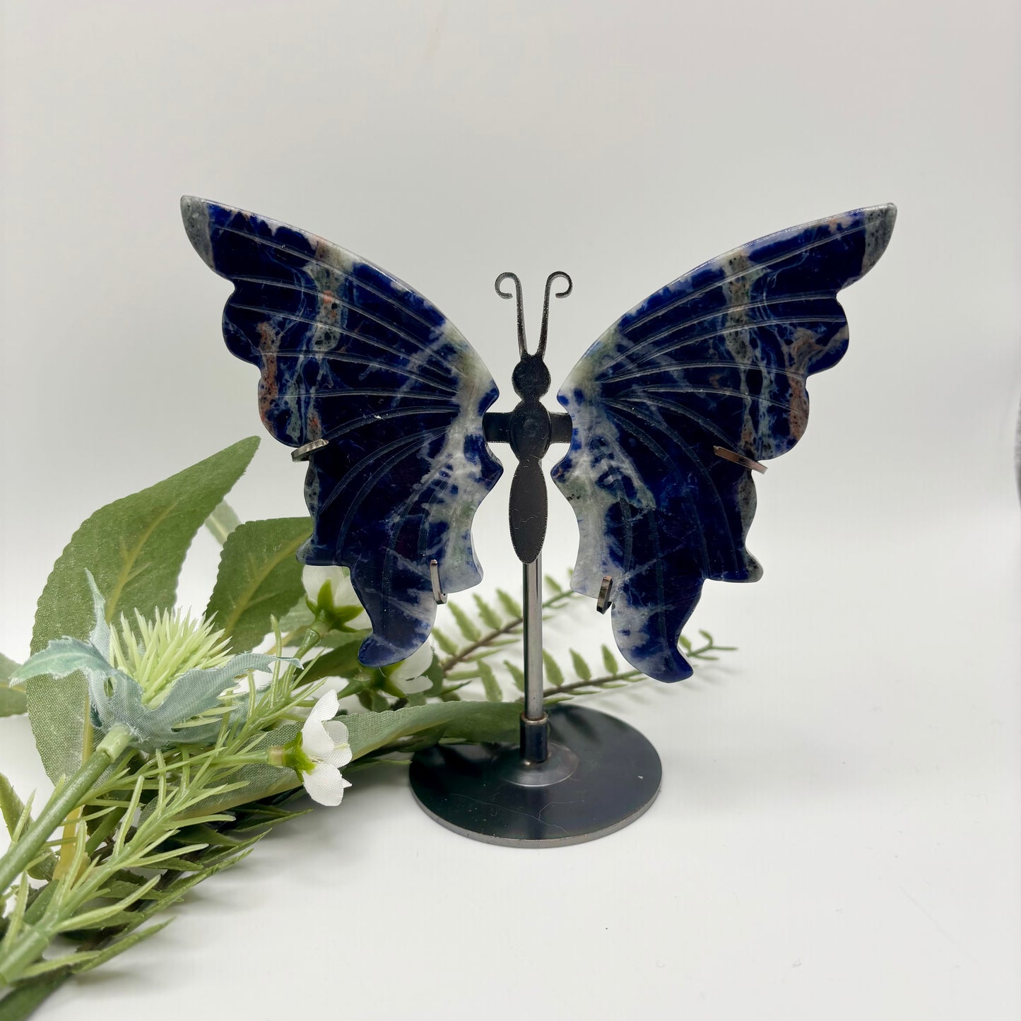 Dannette’s Sodalite Wings