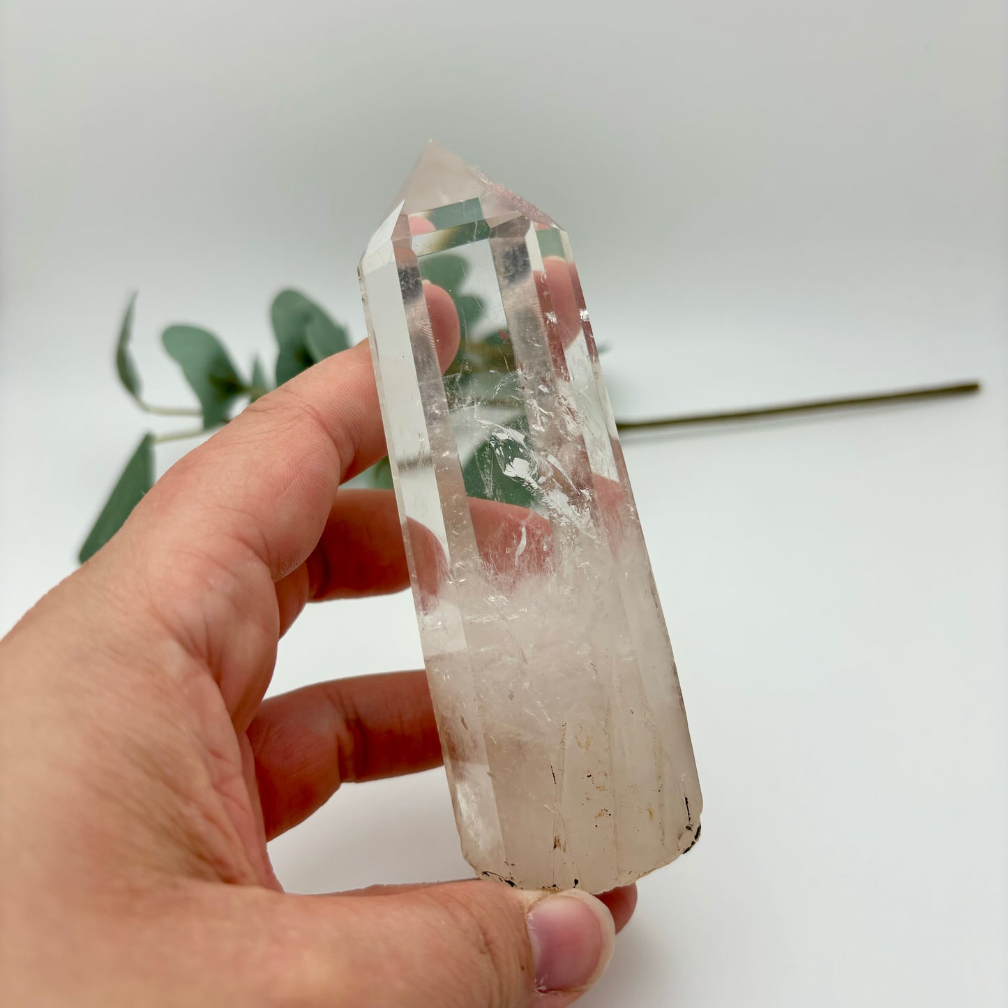 HQ Clear Quartz Points in Custom Stands