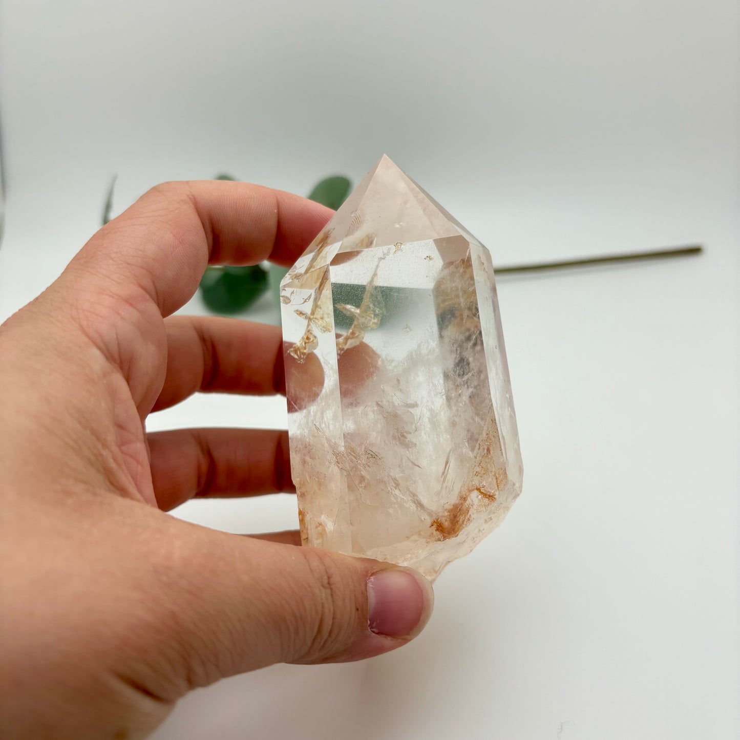HQ Clear Quartz Points in Custom Stands