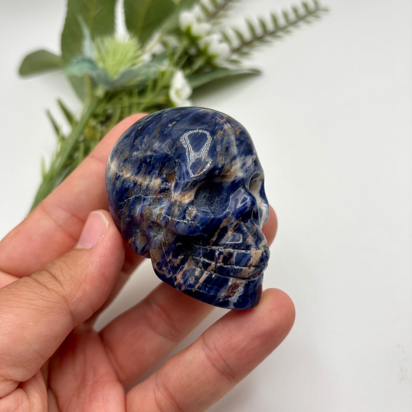 Sodalite Skulls