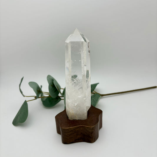 HQ Clear Quartz Points in Custom Stands