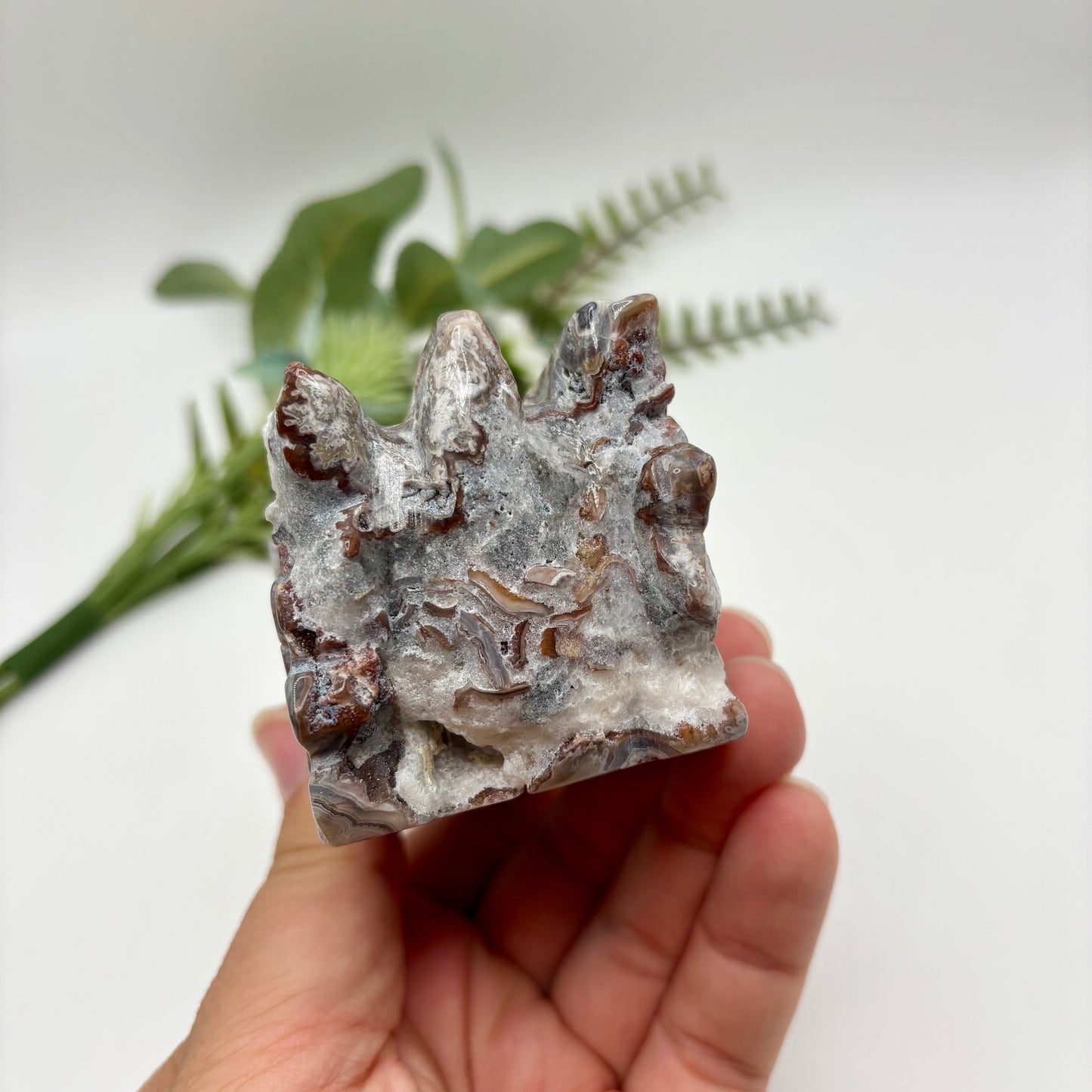 Mexican Crazy Lace Agate Dragon Heads