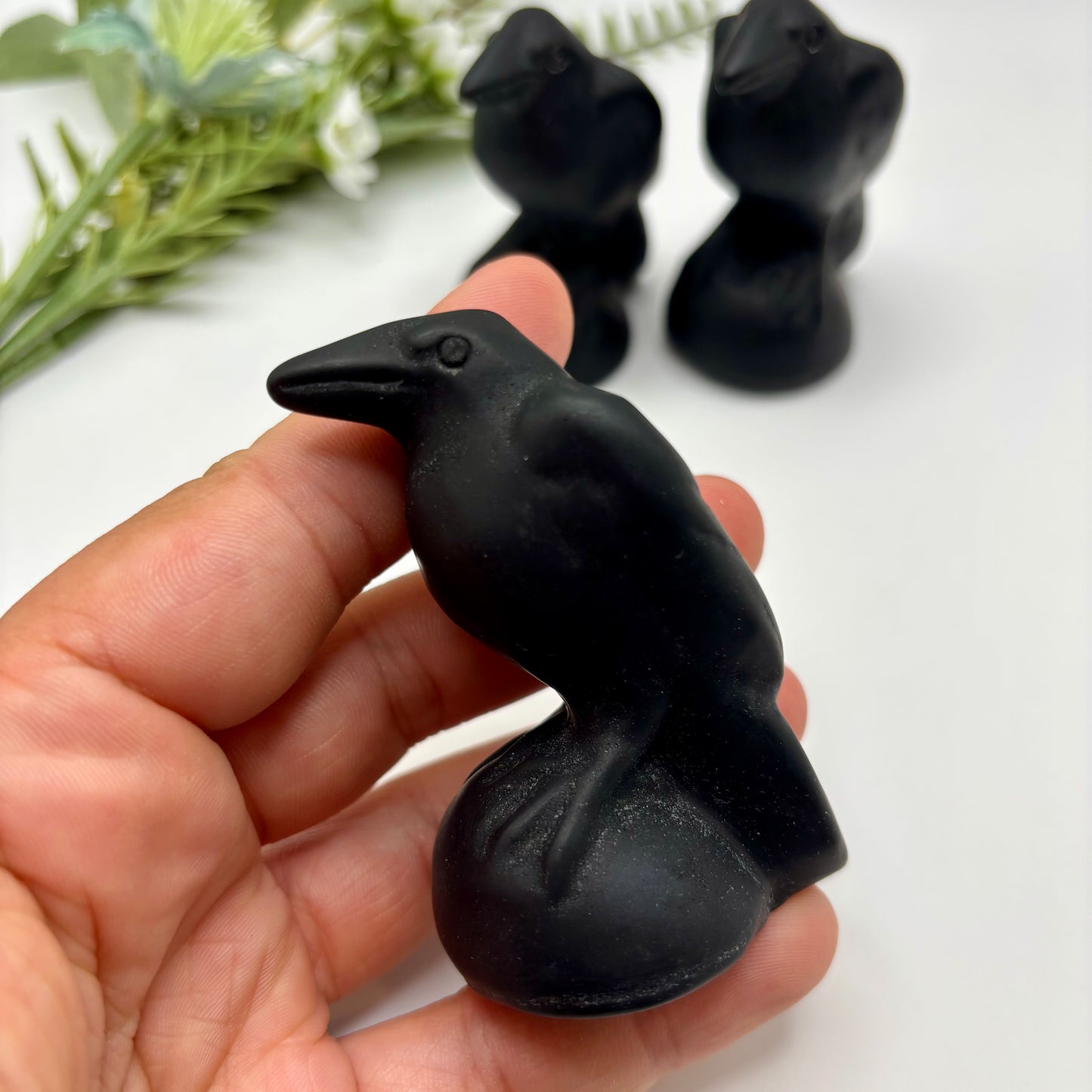 Obsidian Ravens