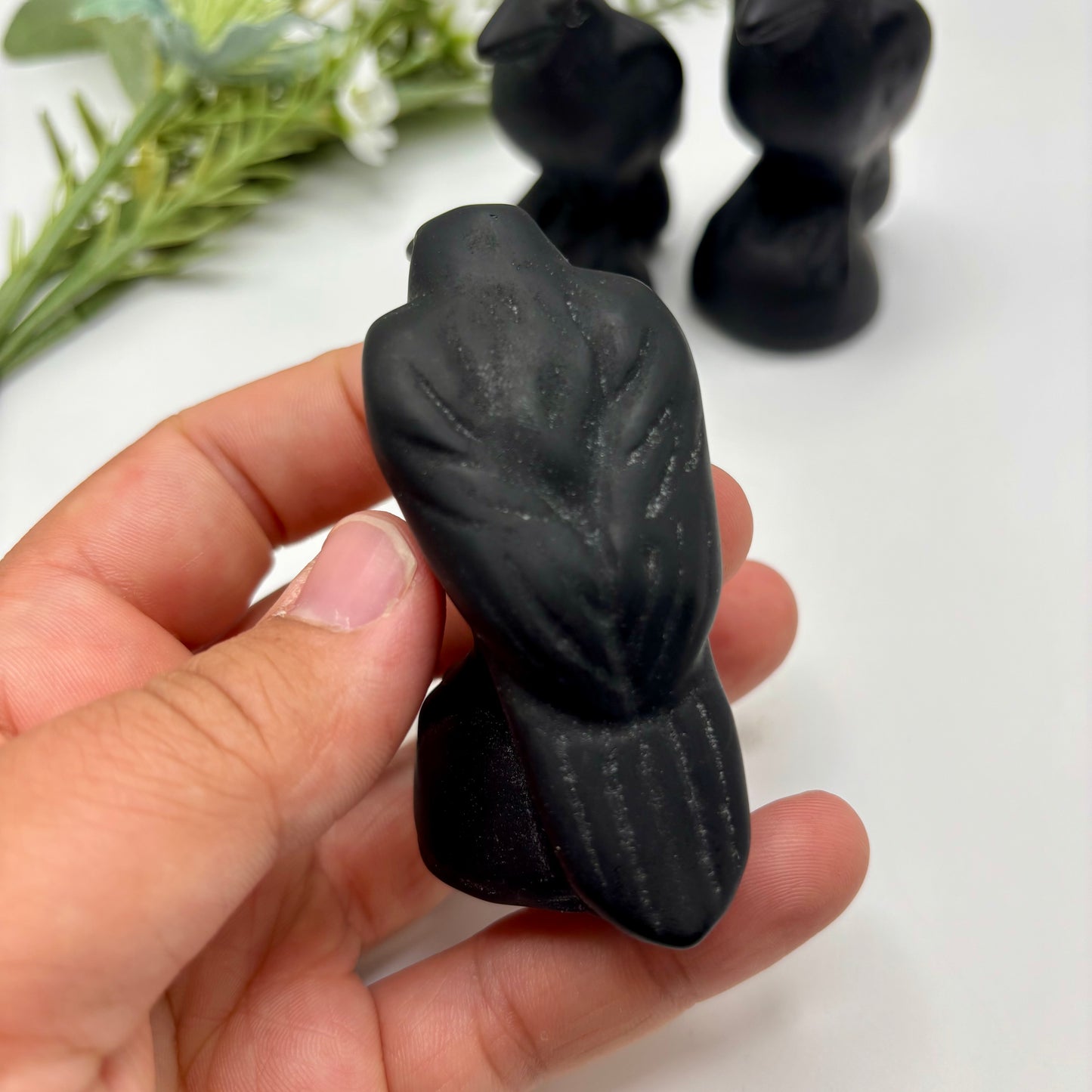 Obsidian Ravens