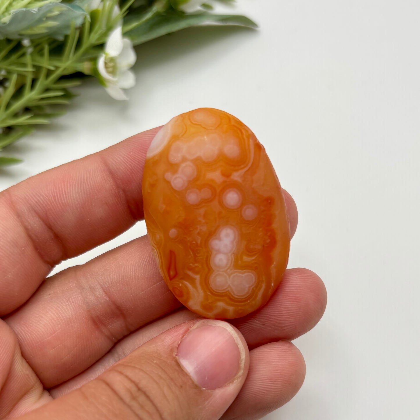 Gobi Agates (Large)