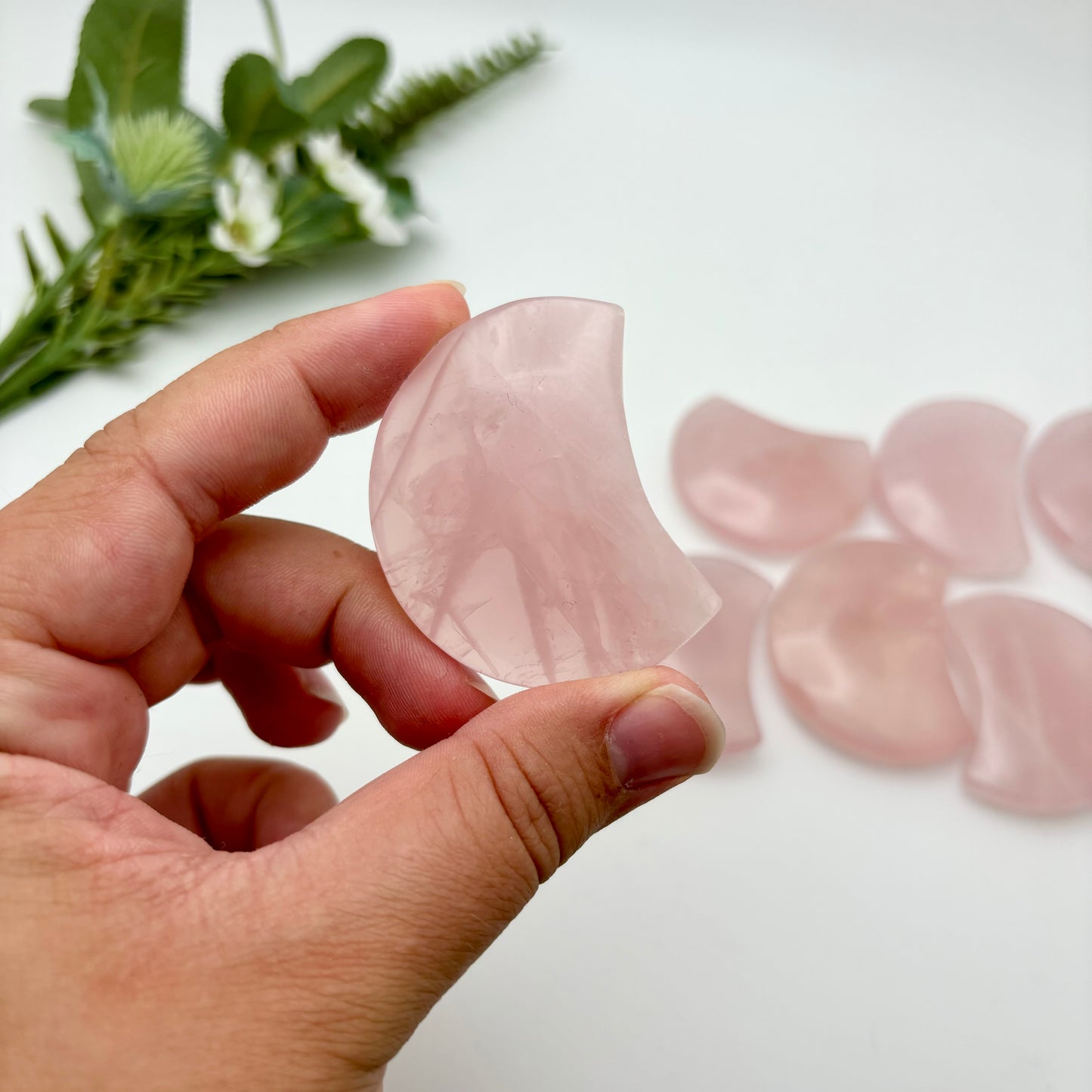 High Quality Rose Quartz Moons