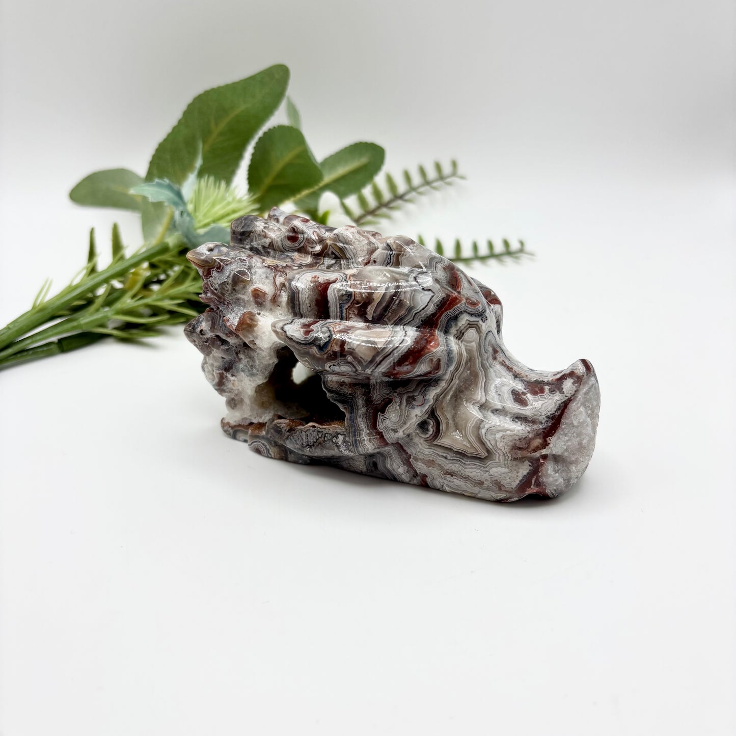 Mexican Crazy Lace Agate Dragon Heads