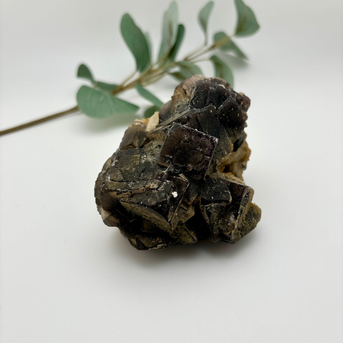 Black Fluorite Specimen